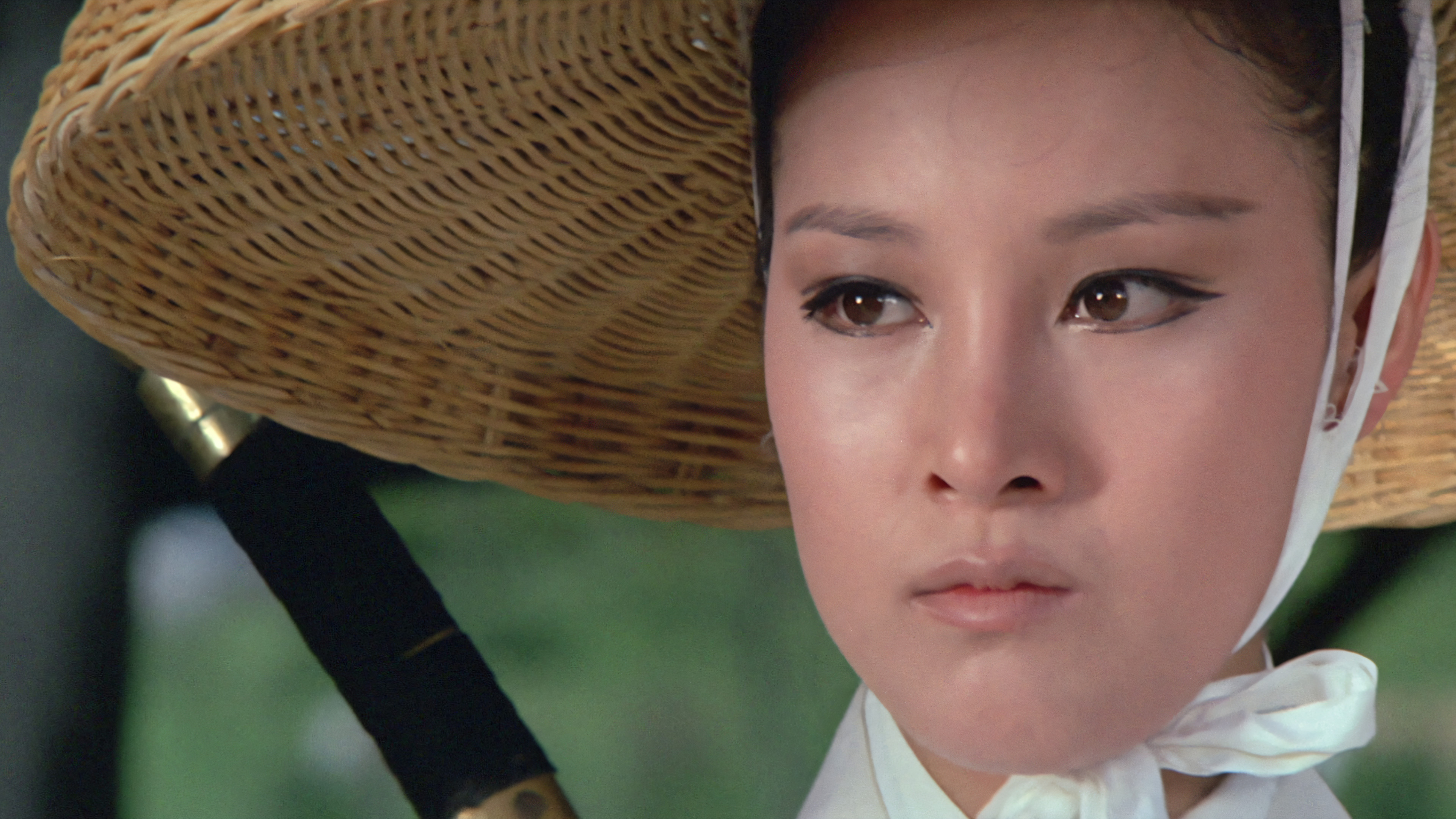 Backdrop for Lady with a Sword