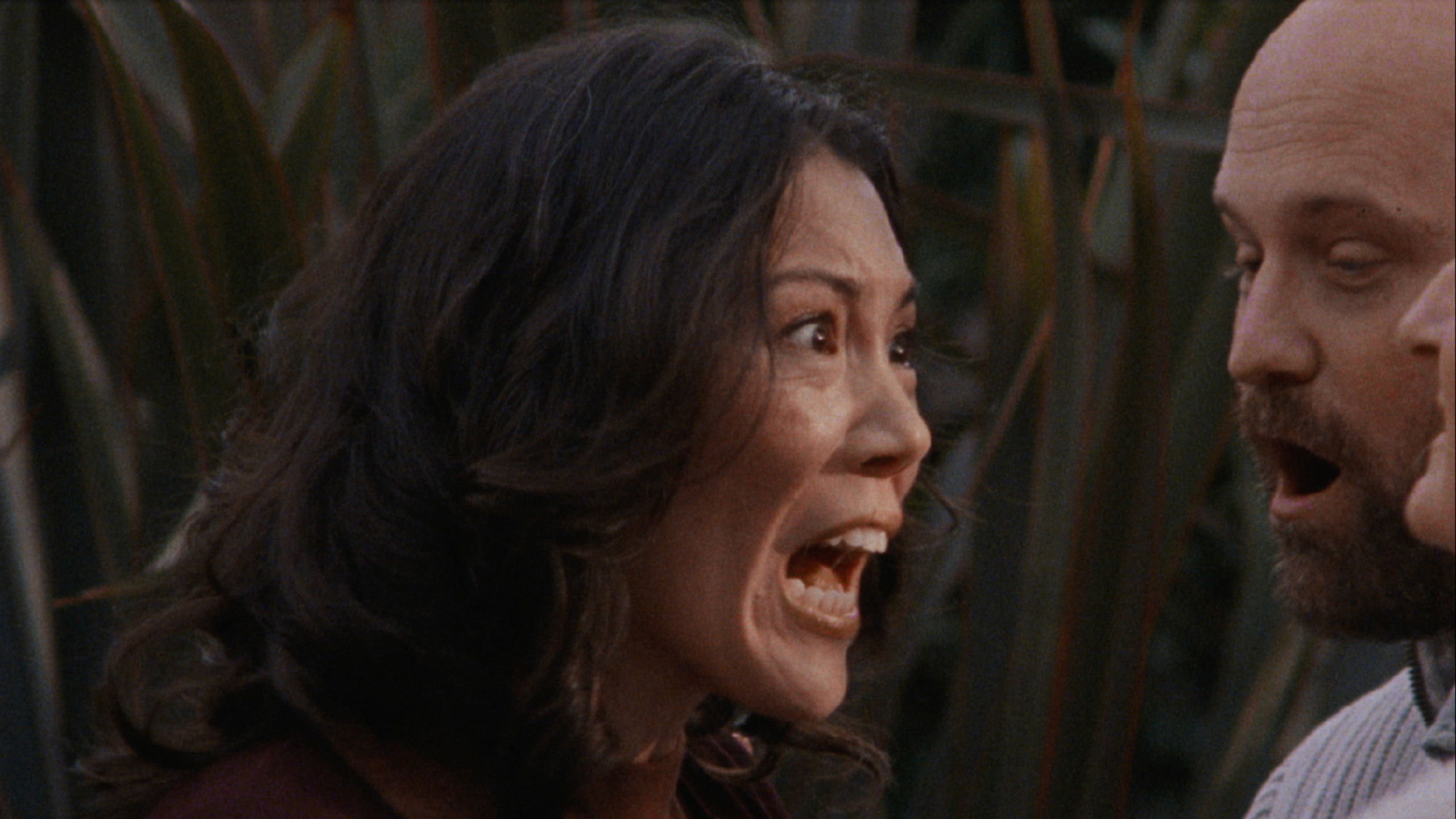 Backdrop for While Mortals Sleep