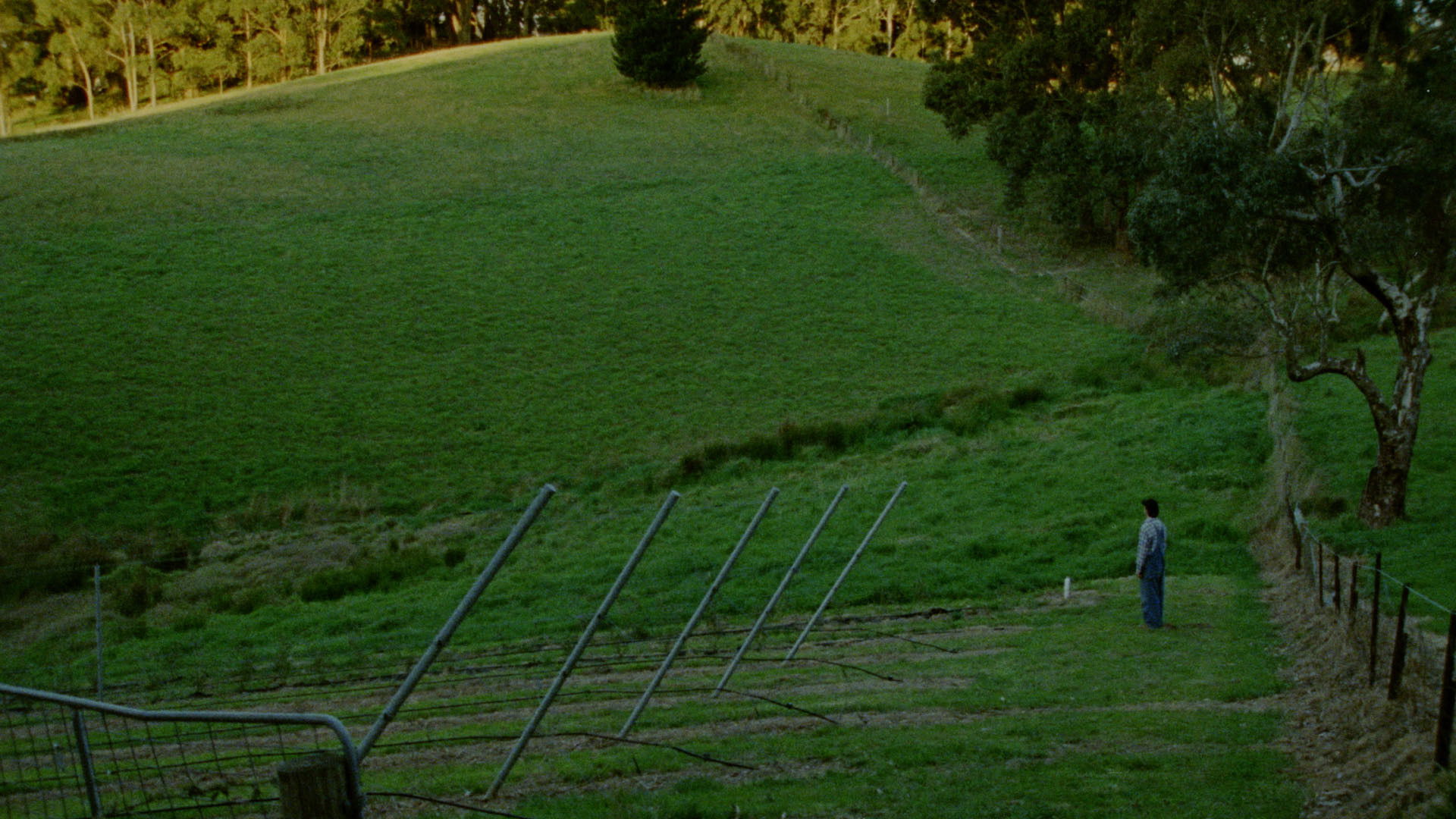 Backdrop for Does It Come With a Warranty?