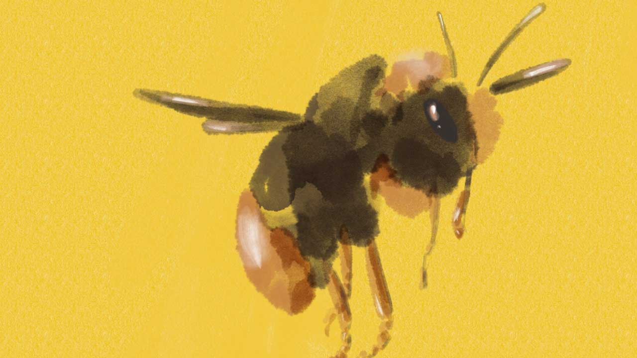 Backdrop for Bumblebee