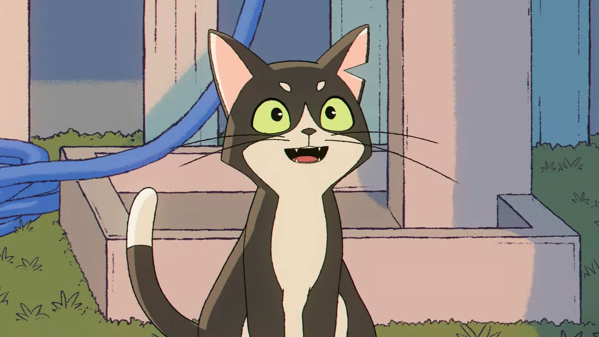 Backdrop for BRIDGE -My Little Friends-