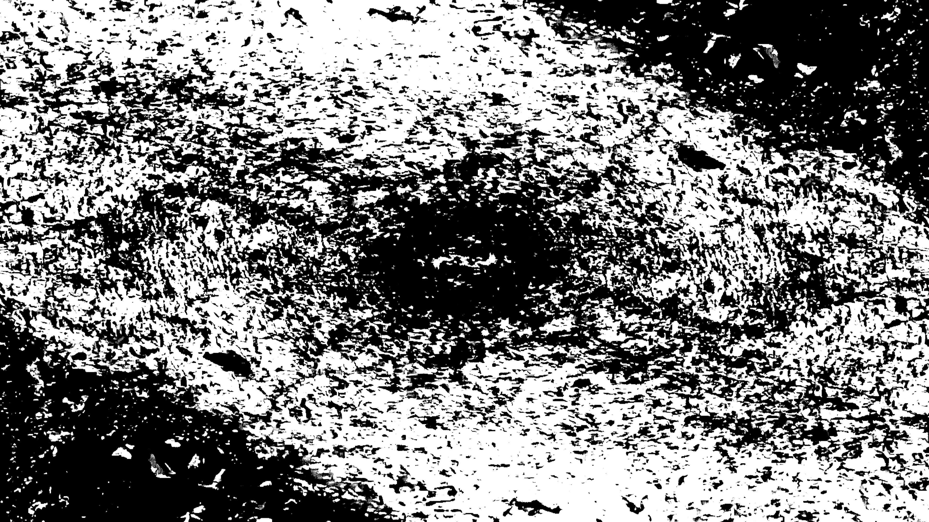 Backdrop for Insect Theory