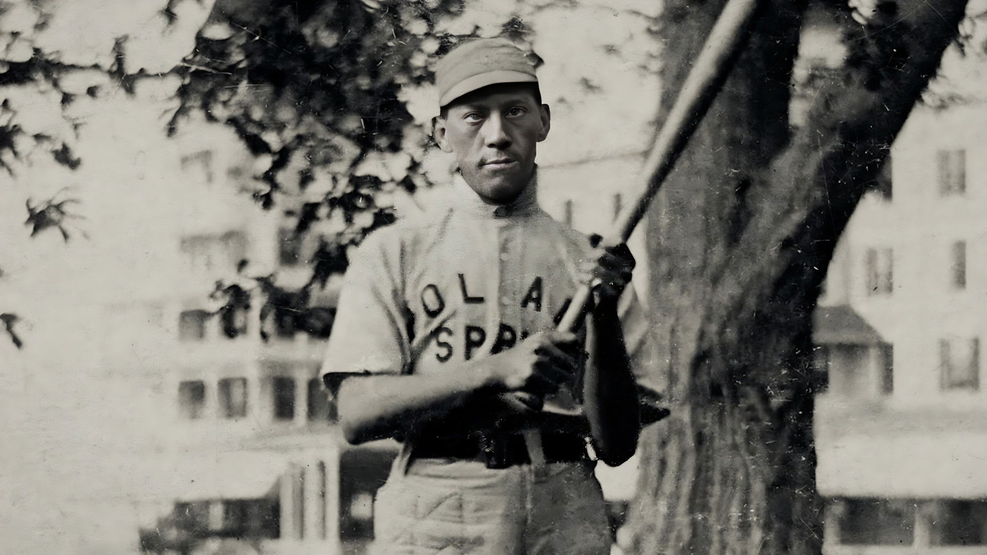 Backdrop for Deerfoot of the Diamond