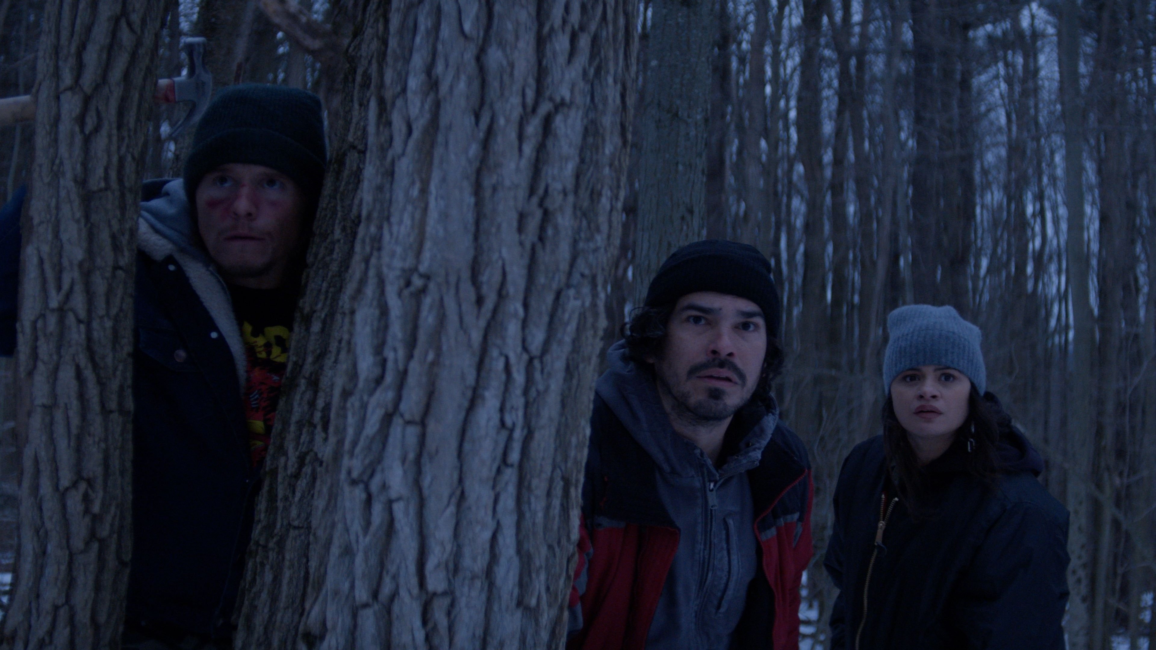 Backdrop for Cold Wallet