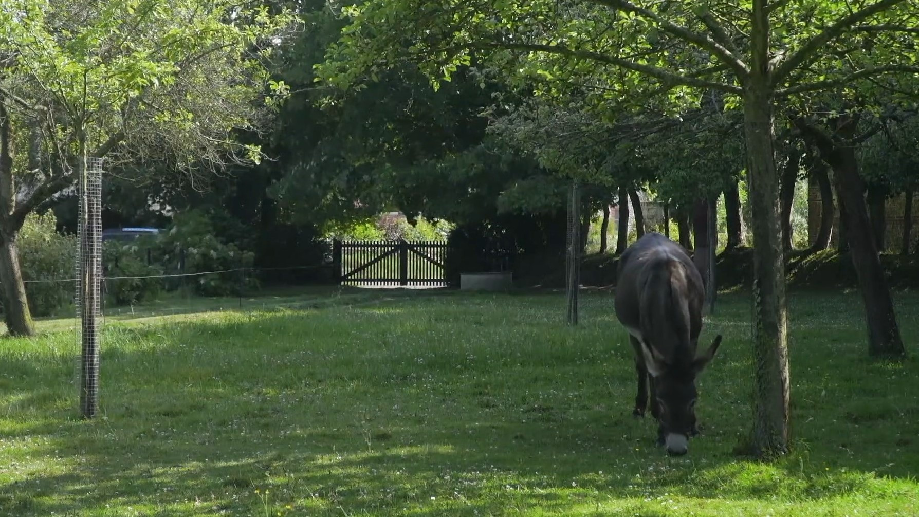 Backdrop for I Am Pierre Creton, Normand and Filmmaker
