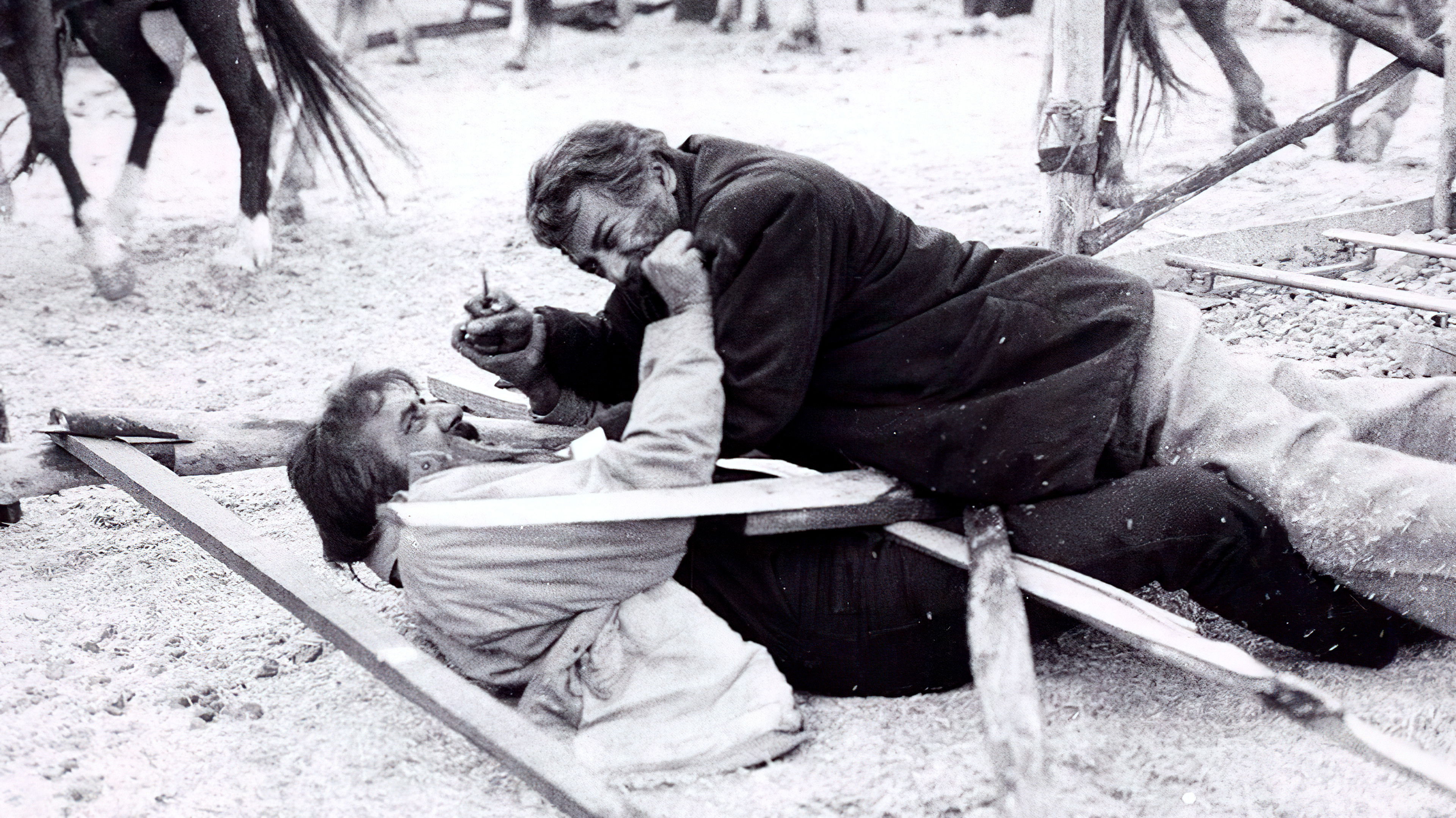 Backdrop for The Wolf's Trail