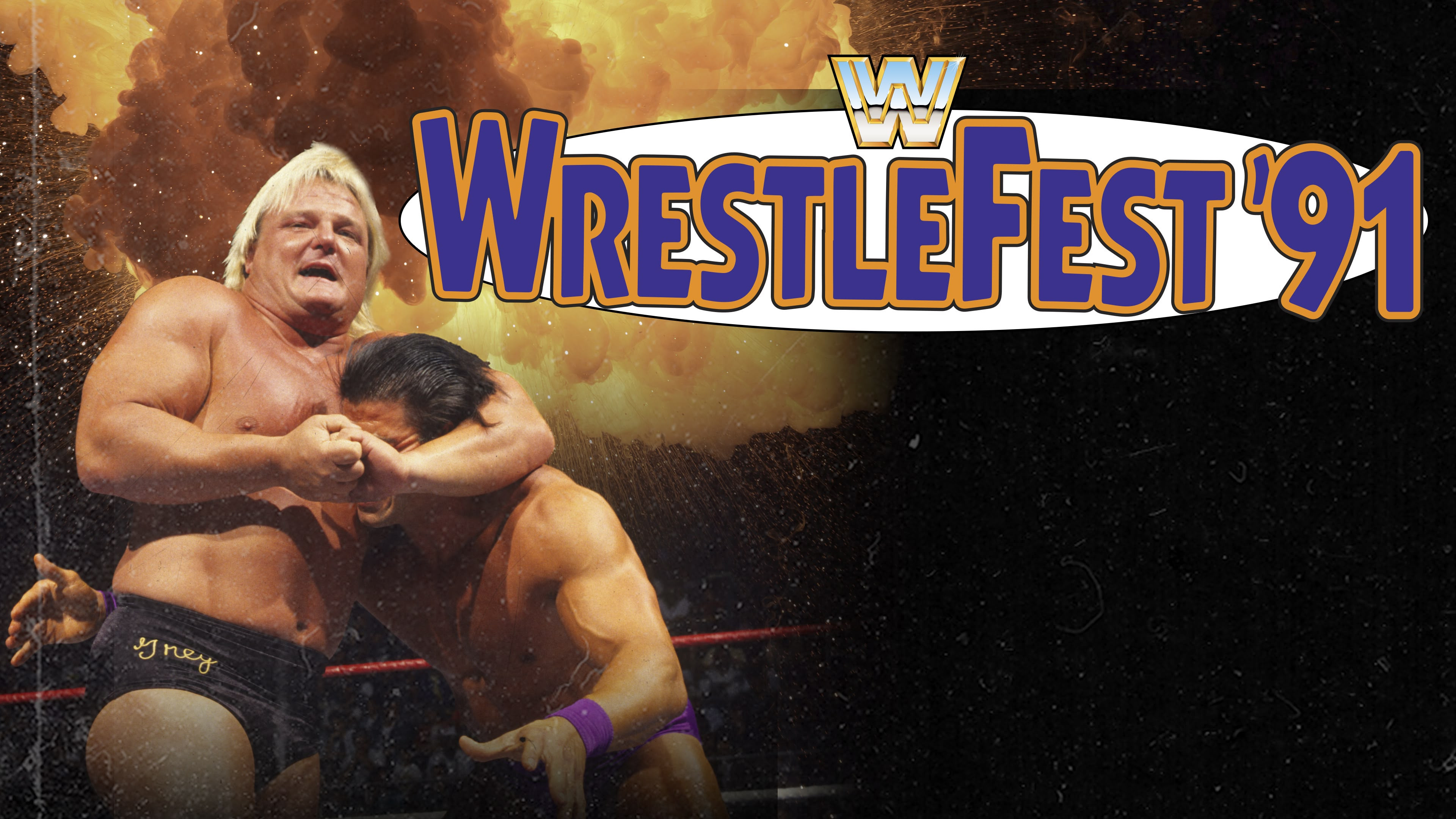 Backdrop for WWE WrestleFest '91