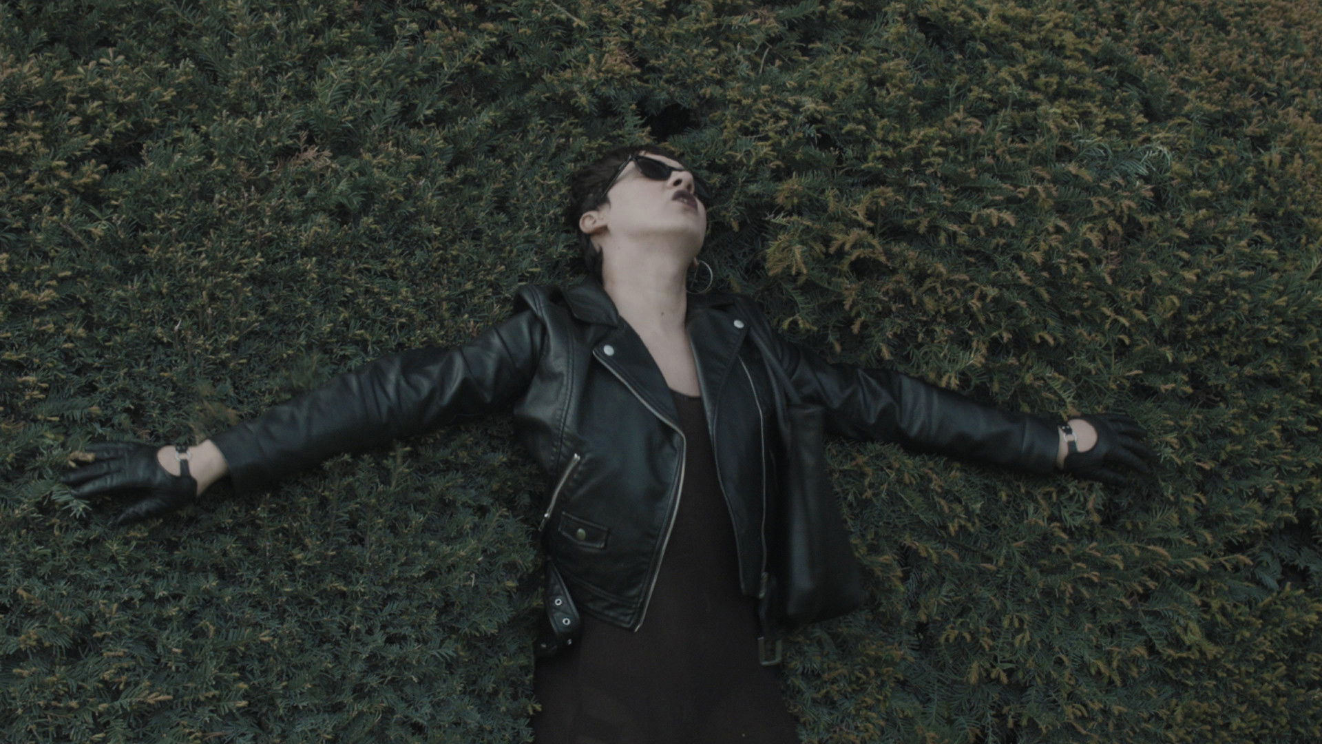 Backdrop for The Devil's Magnificent