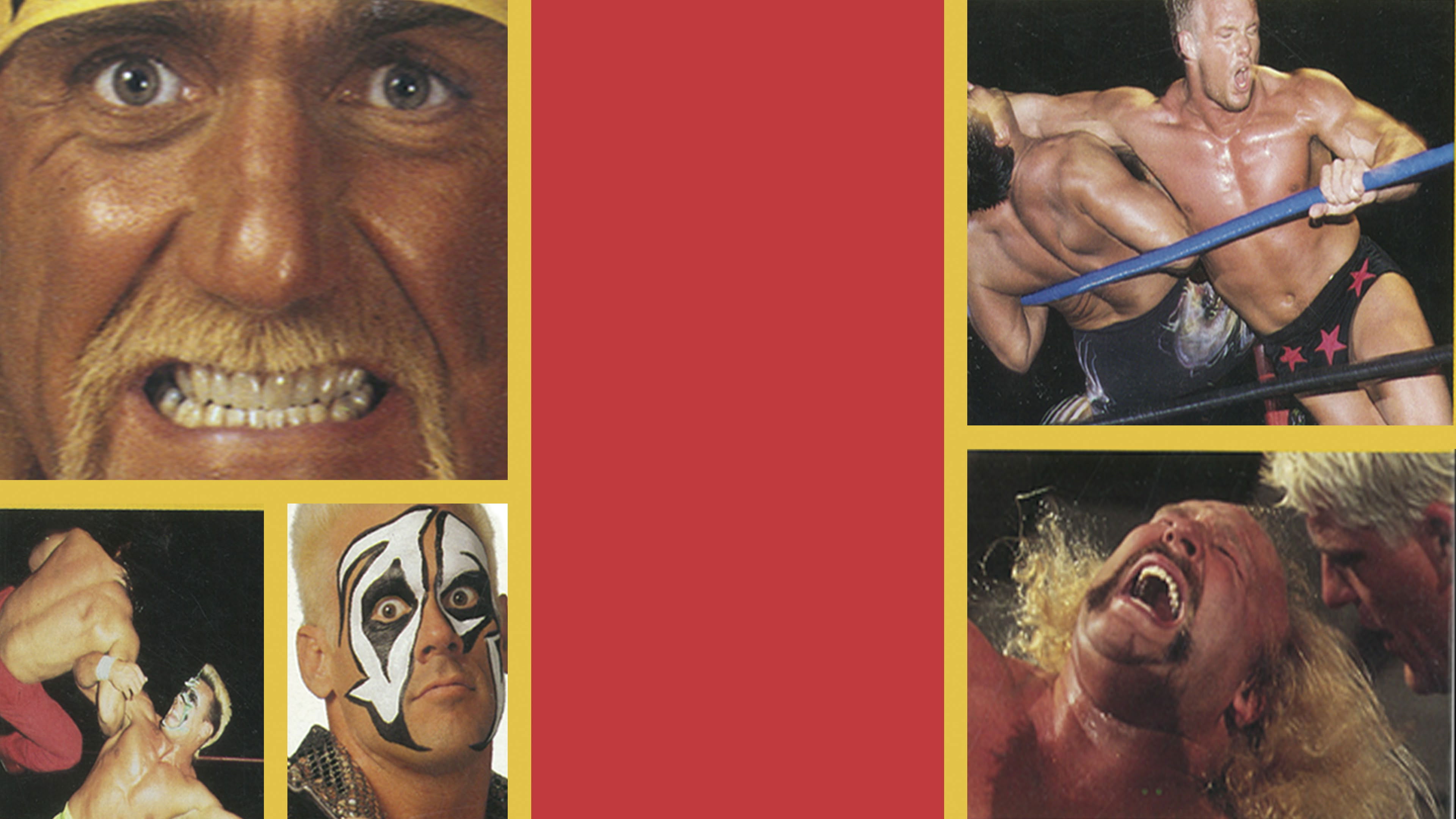 Backdrop for WCW Slamboree 1995