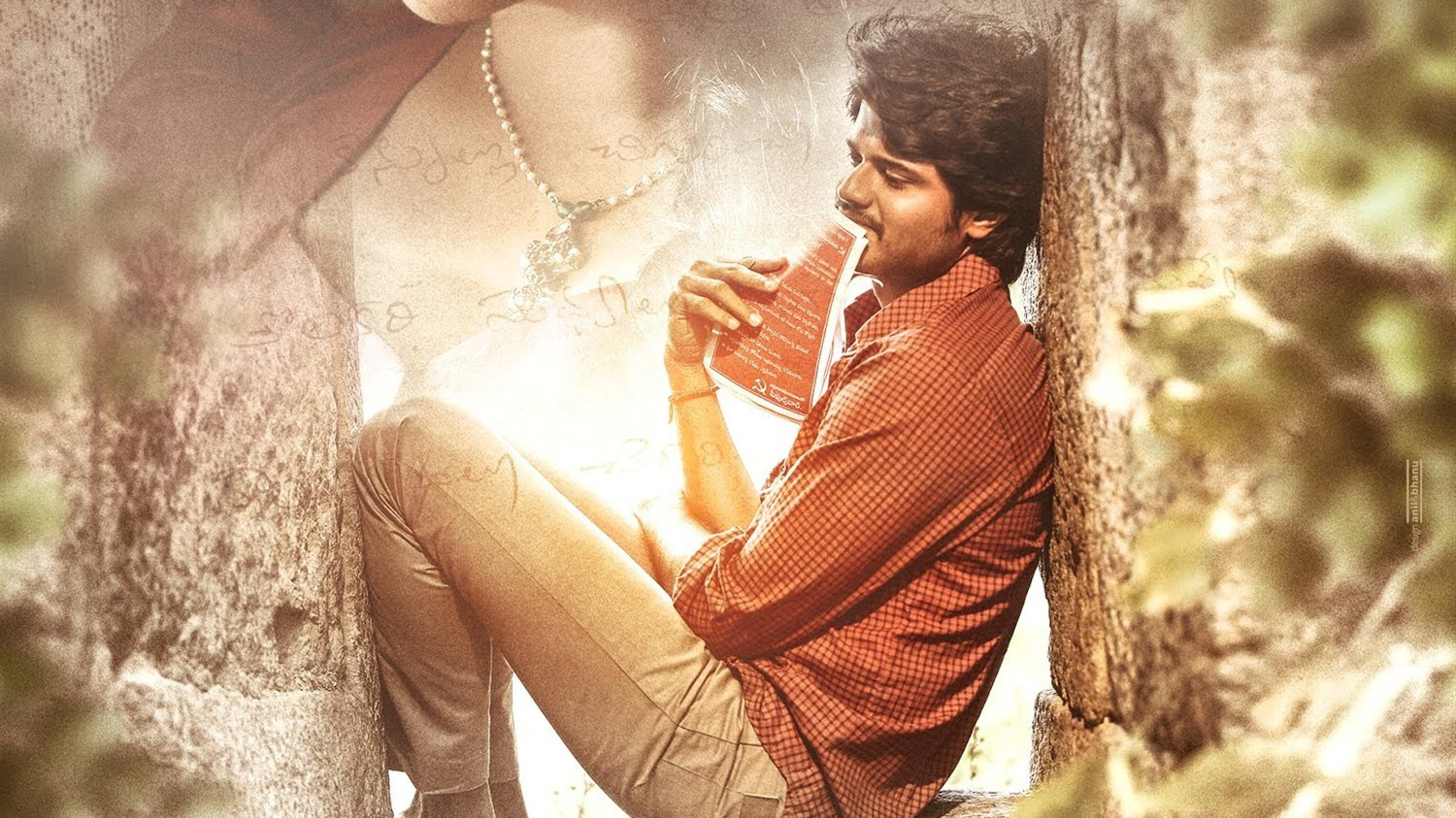 Backdrop for Dorasaani