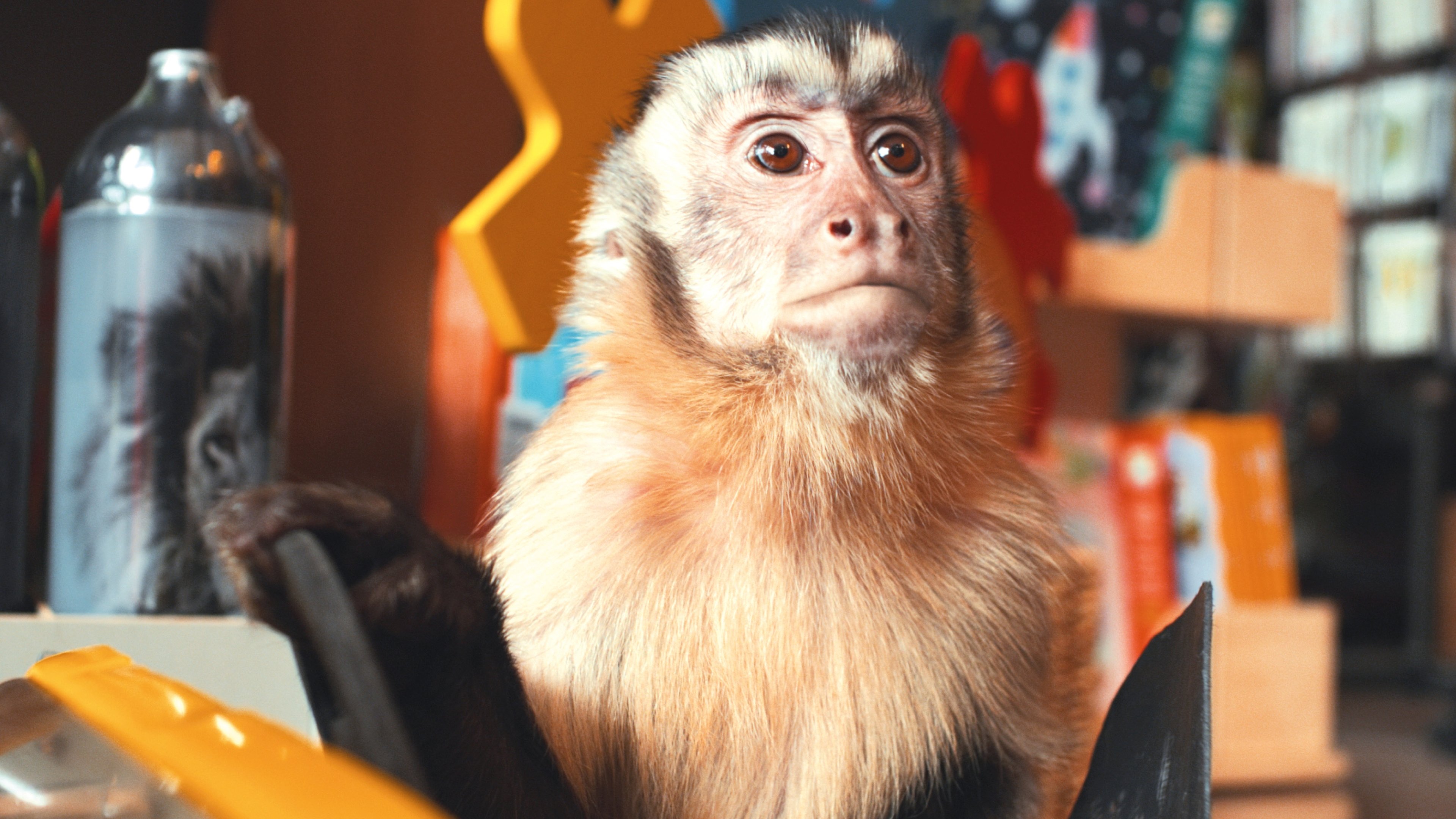 Backdrop for Akiko, the Flying Monkey