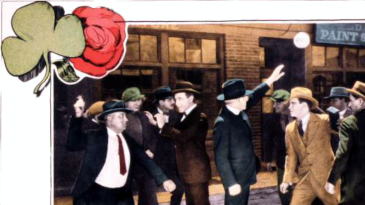 Backdrop for The Shamrock and the Rose