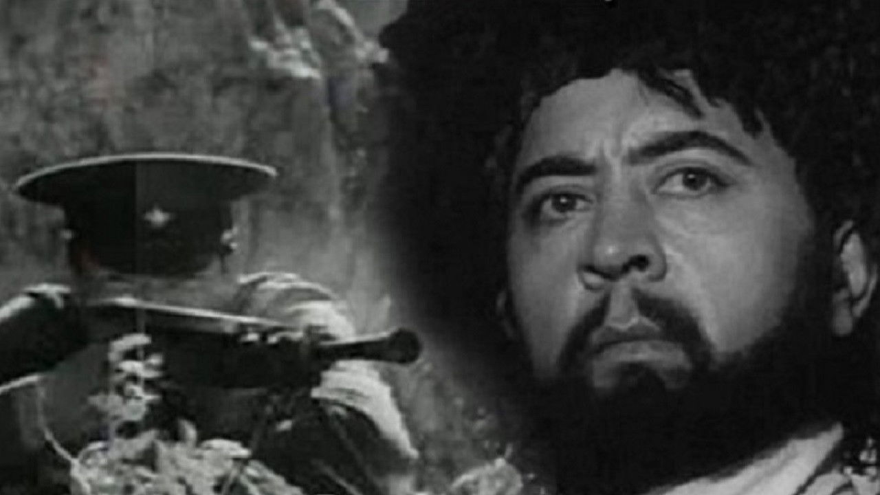 Backdrop for This is Where the Border Goes