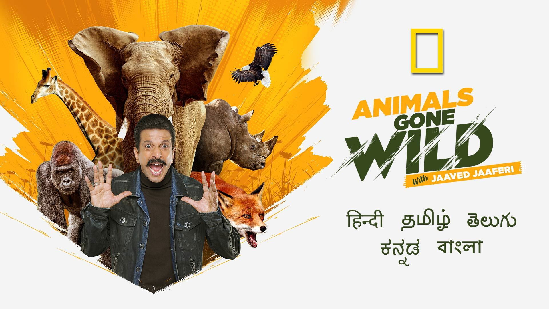 Backdrop for Animals Gone Wild With Jaaved Jaaferi