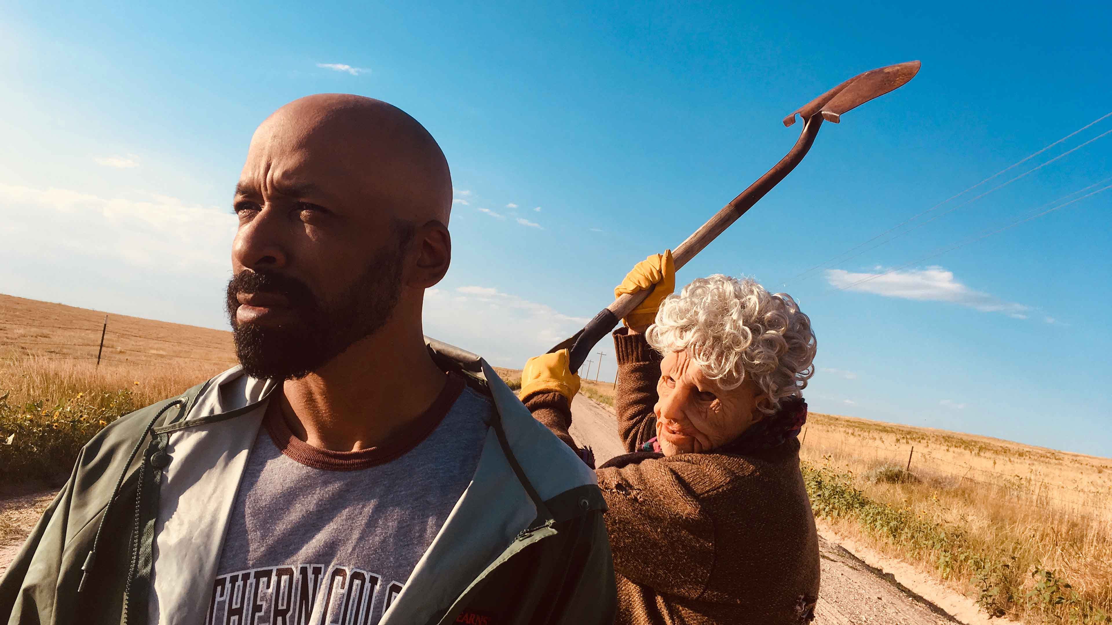 Backdrop for Beware the Woods