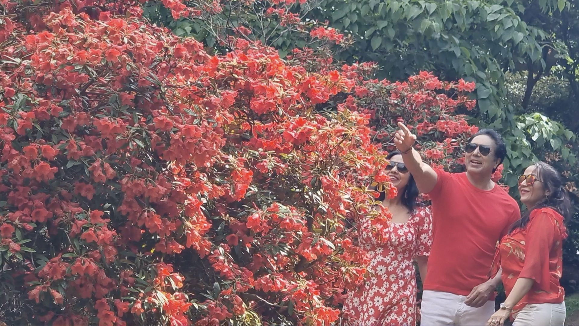 Backdrop for Virginia Water Lake