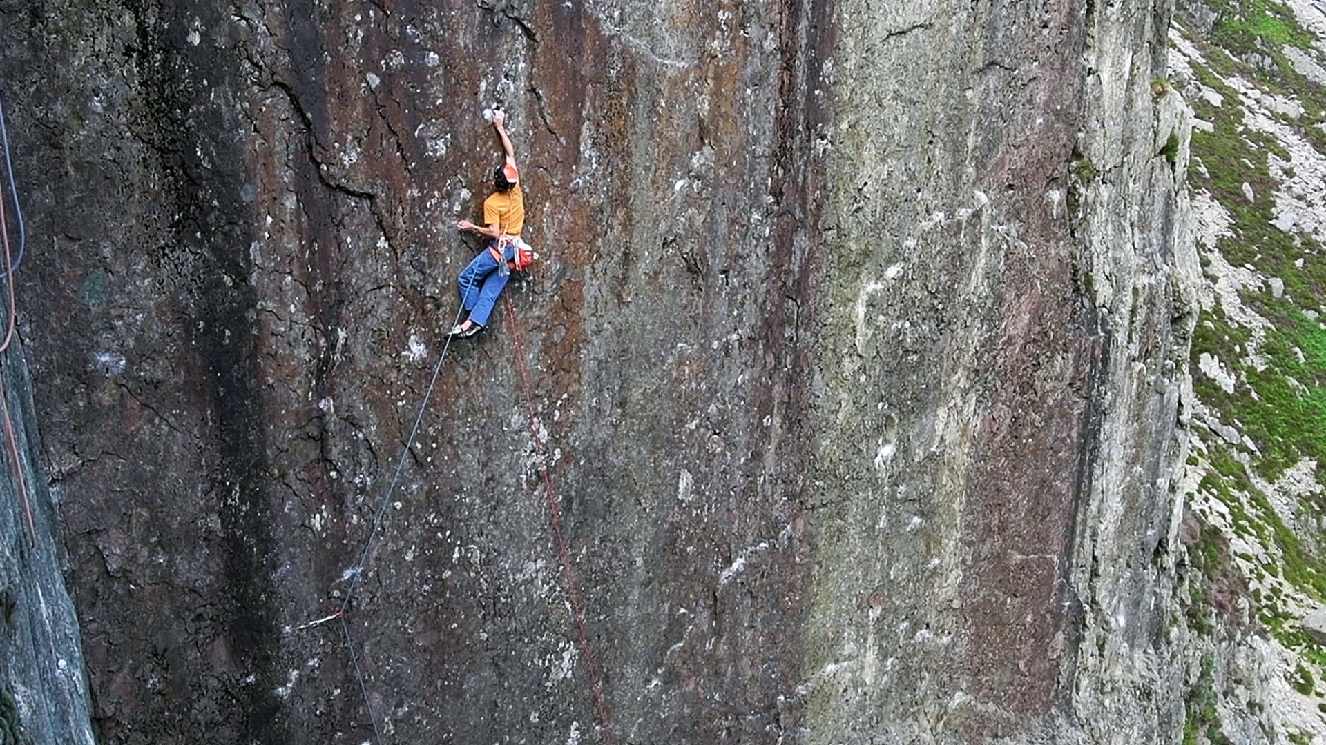 Backdrop for Nightmayer