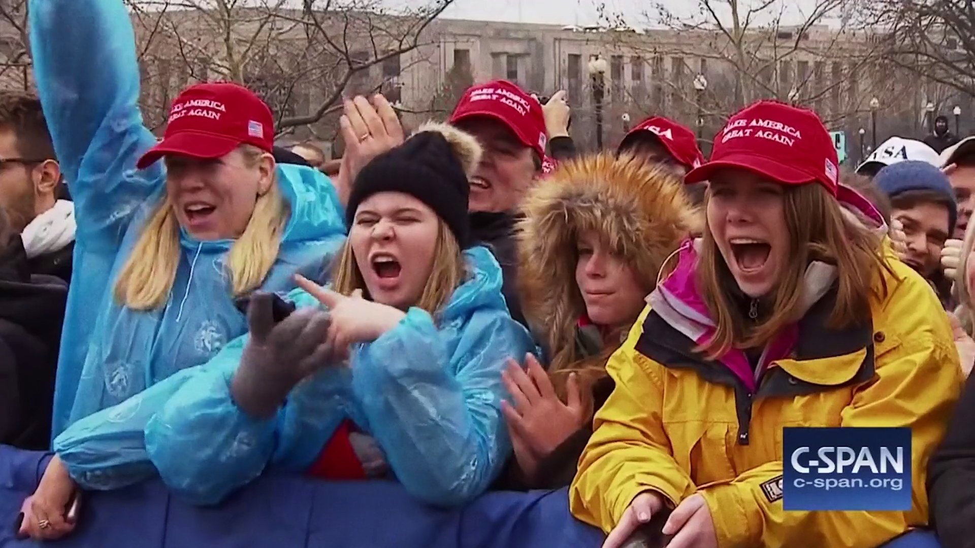 Backdrop for Alt-Right: Age of Rage