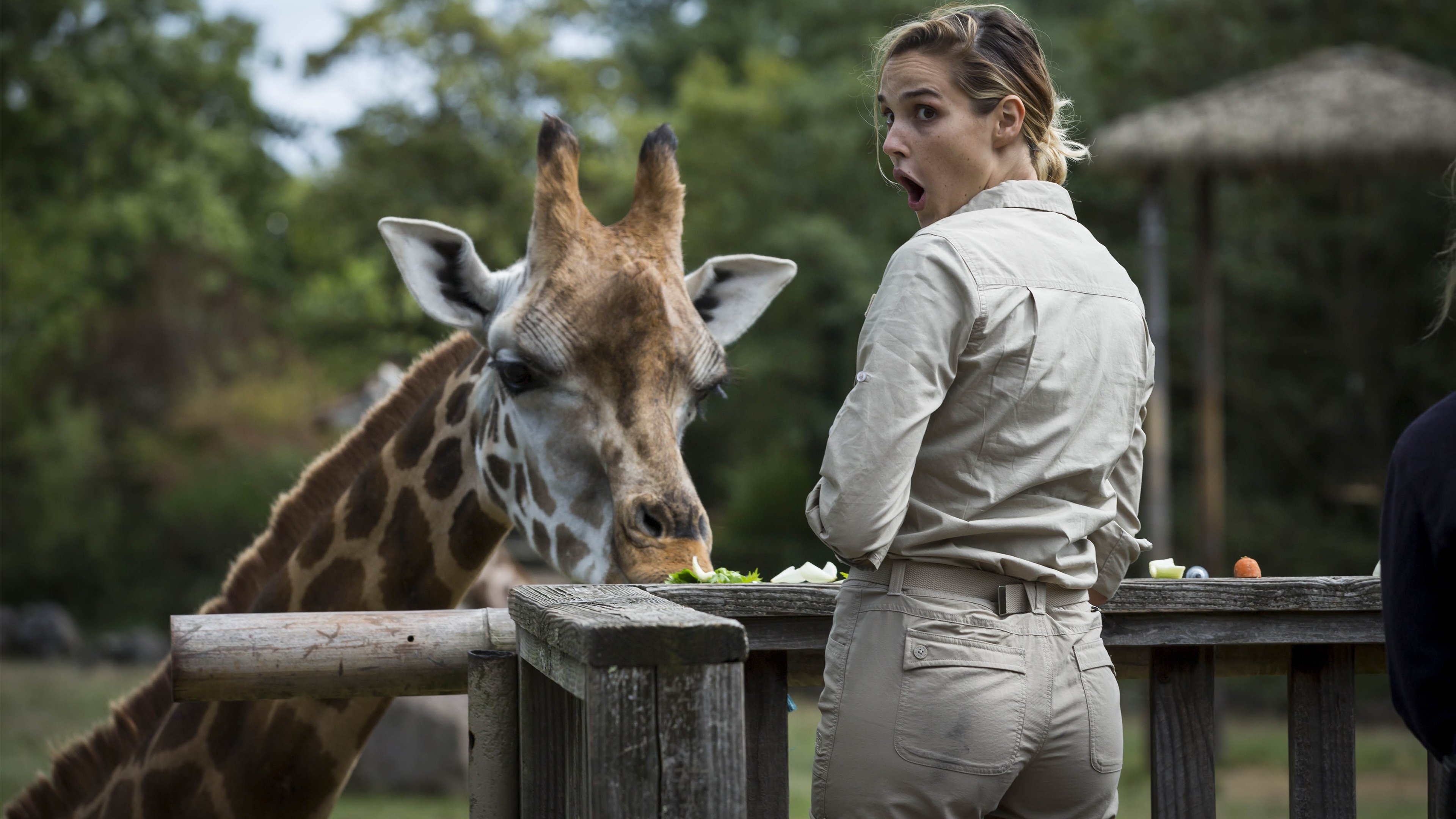 Backdrop for Les Touristes