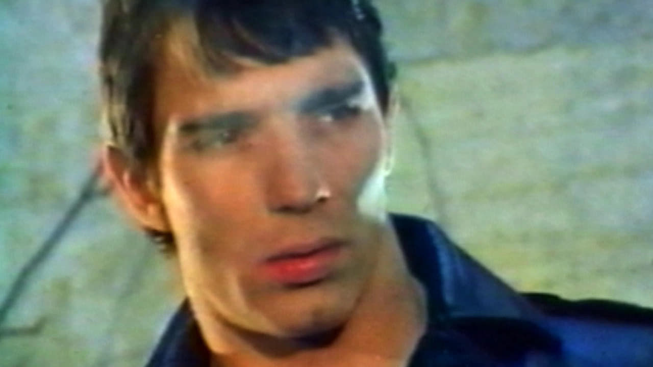 Backdrop for Mondo Homo: A Study of French Gay Porn in the '70s