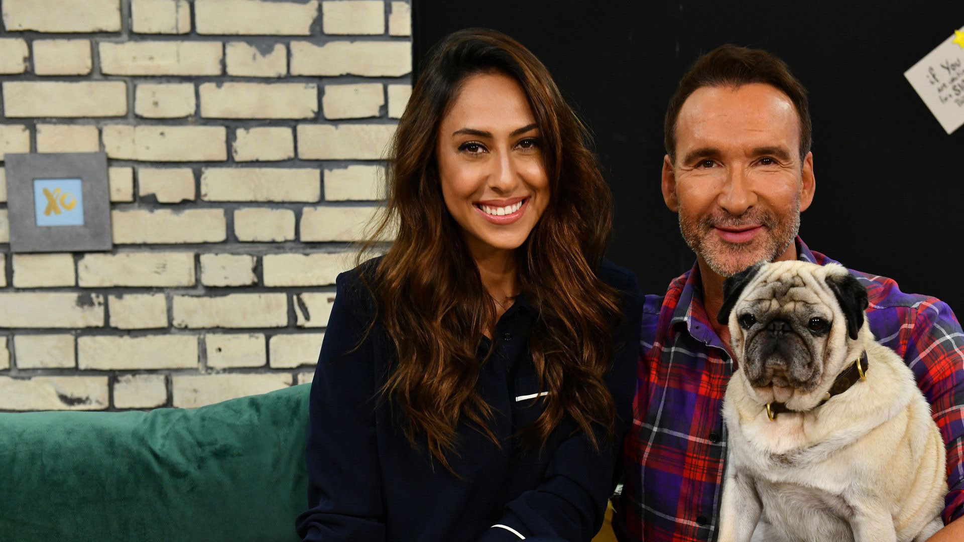 Backdrop for Promi Big Brother - Die Late Night Show