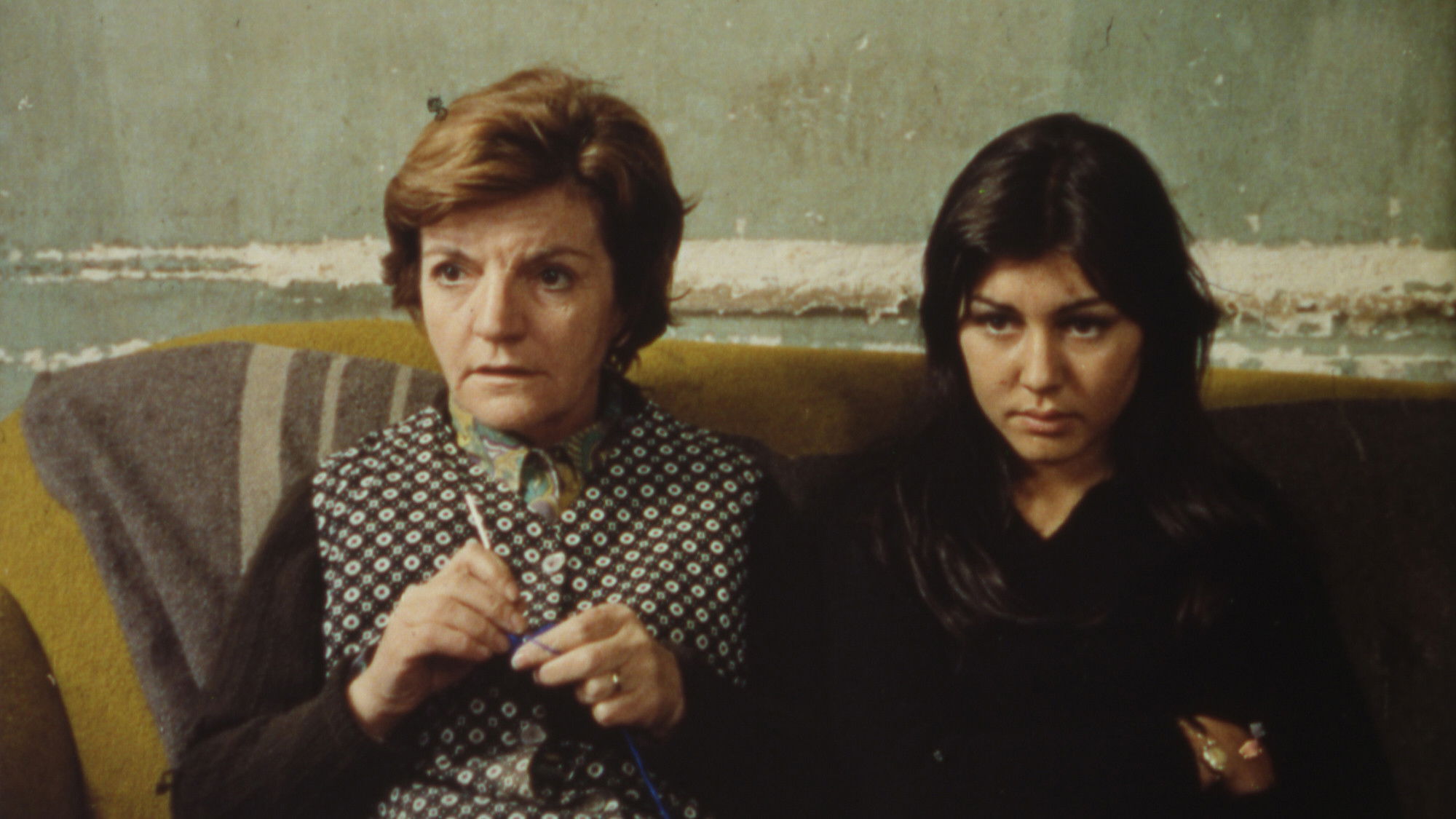 Backdrop for Little White Dove