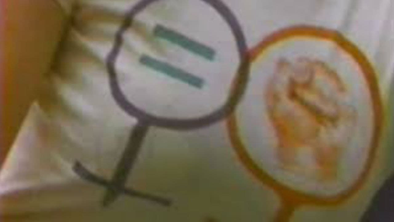 Backdrop for Not For Sale: Feminism and Art in the USA during the 1970s