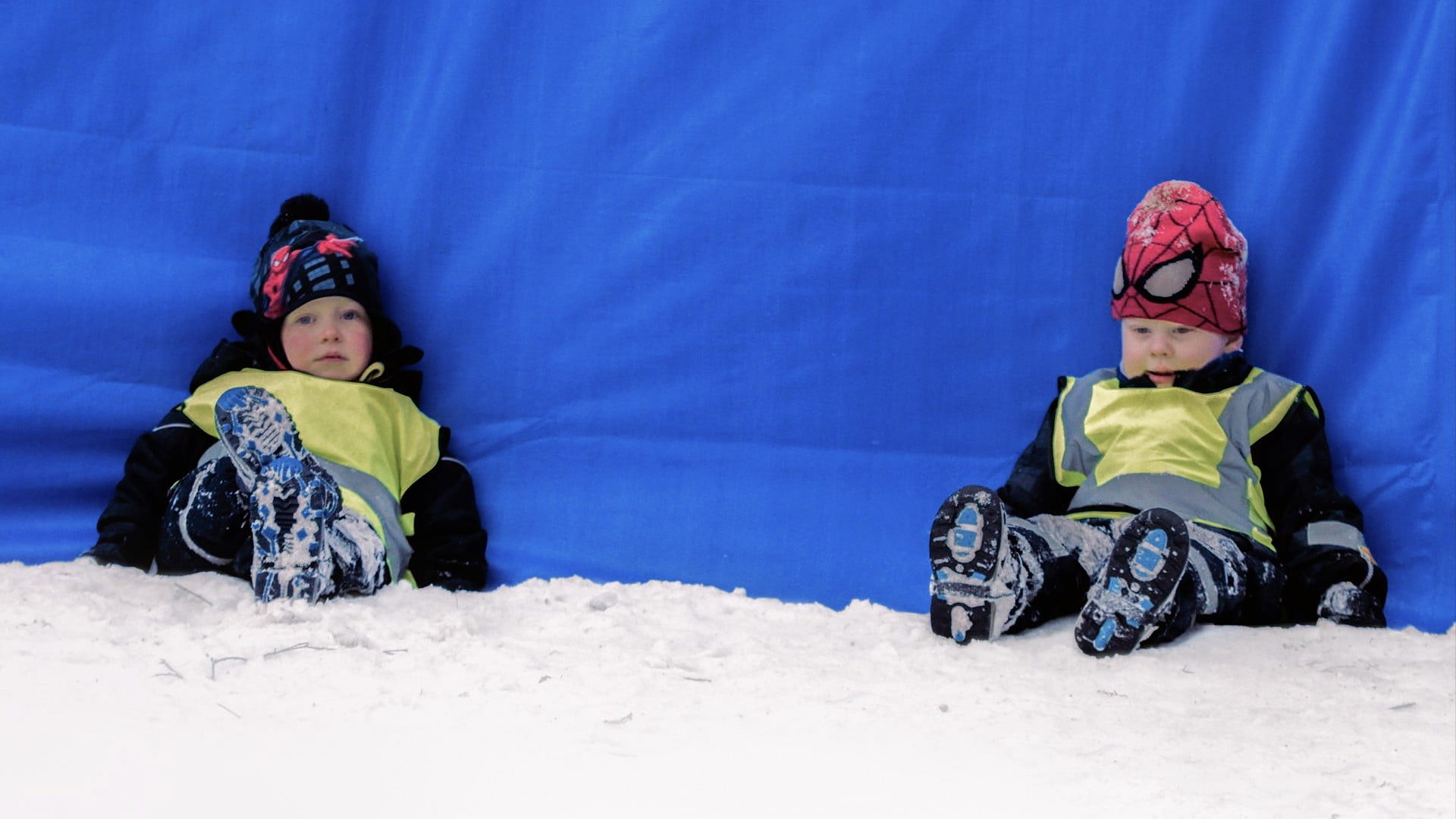 Backdrop for Budding Humans