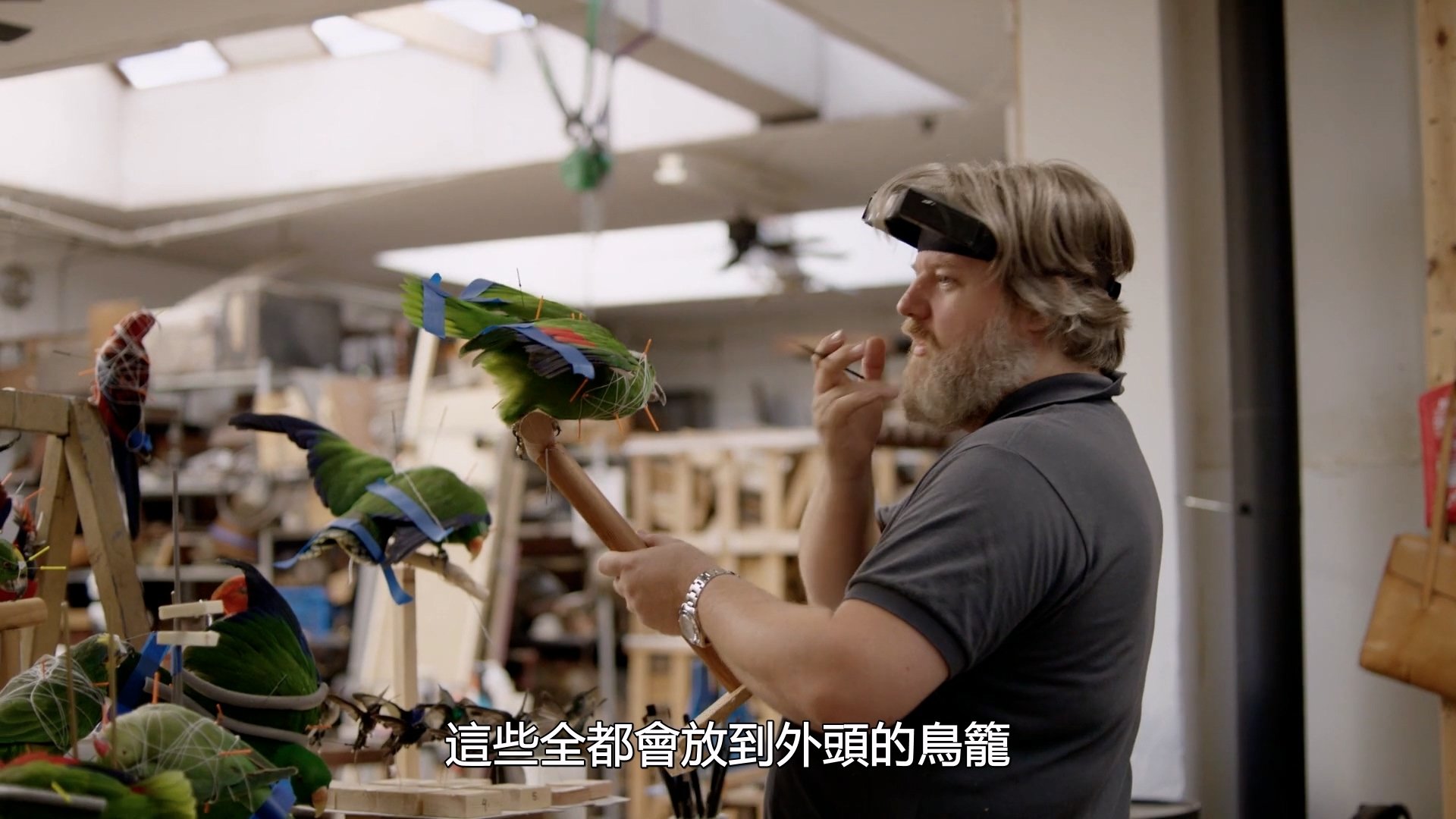 Backdrop for Stuffed