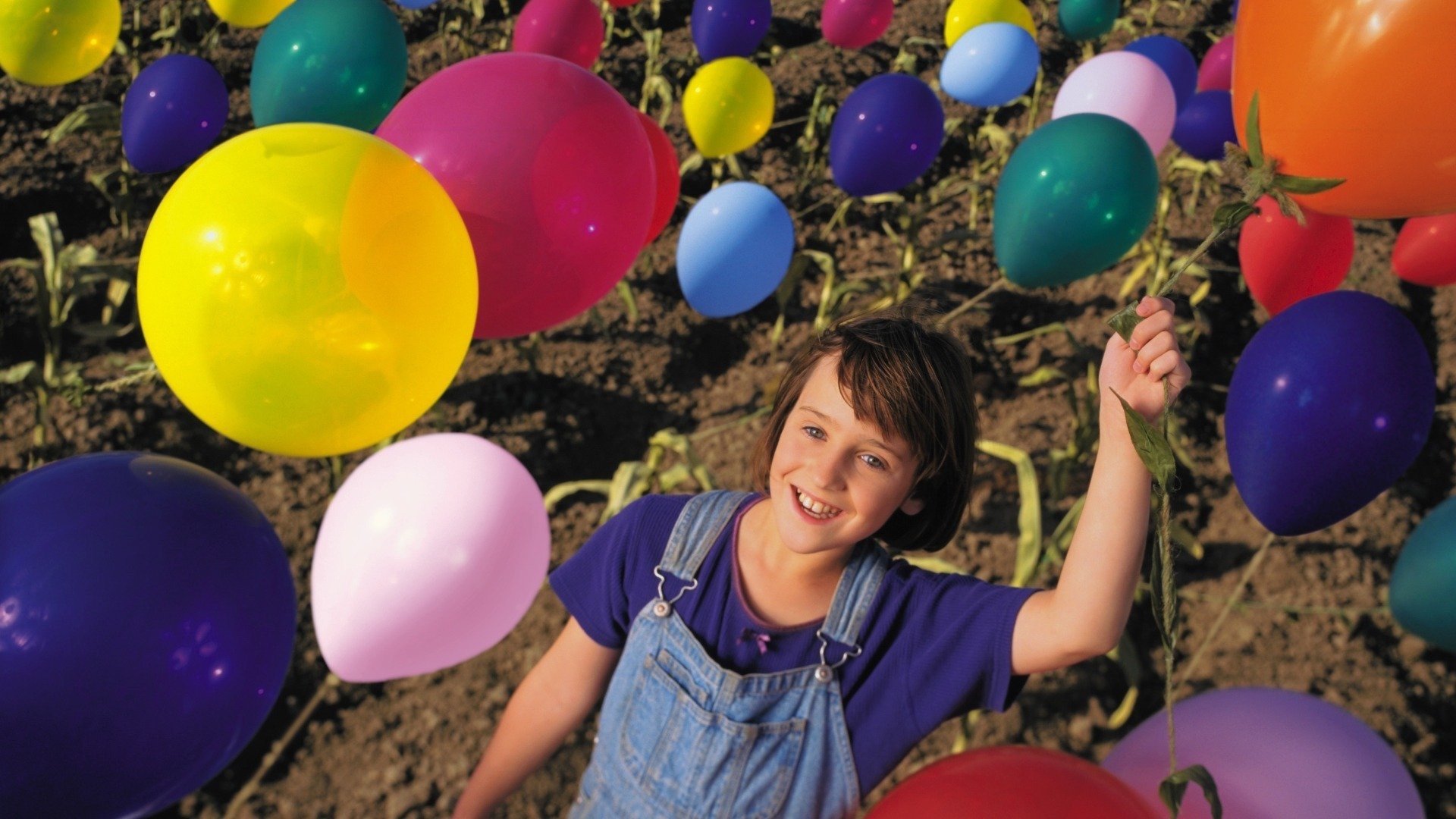 Backdrop for Balloon Farm