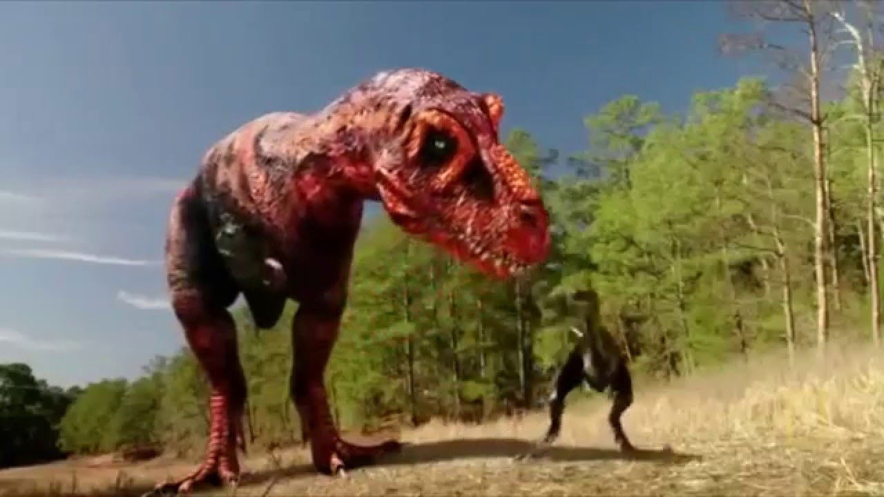 Backdrop for Dinosaurs Decoded