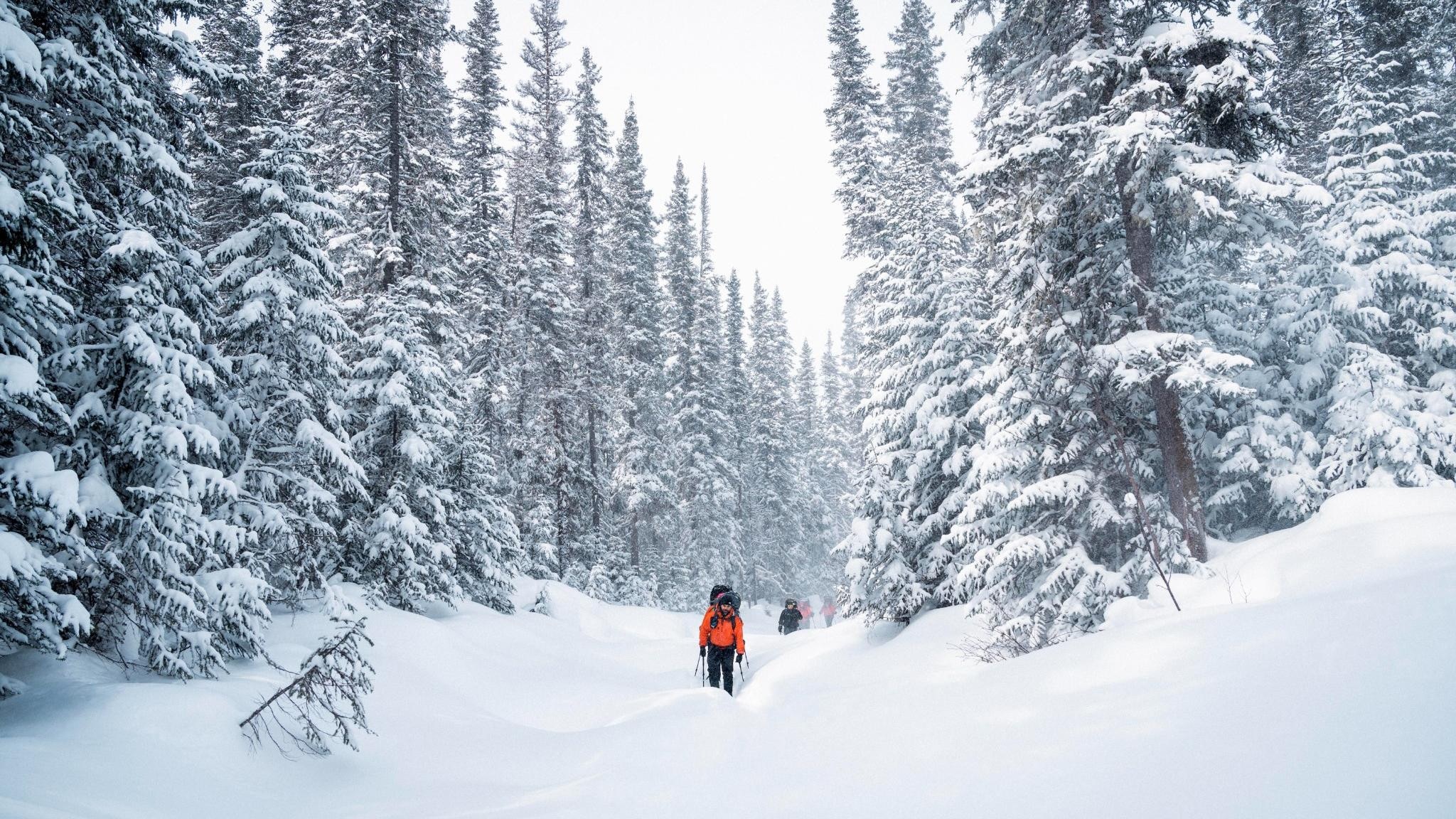 Backdrop for Uapishka