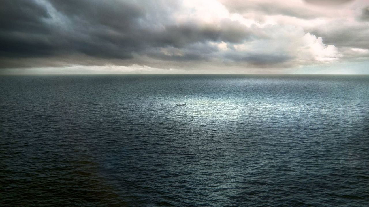 Backdrop for Instinct