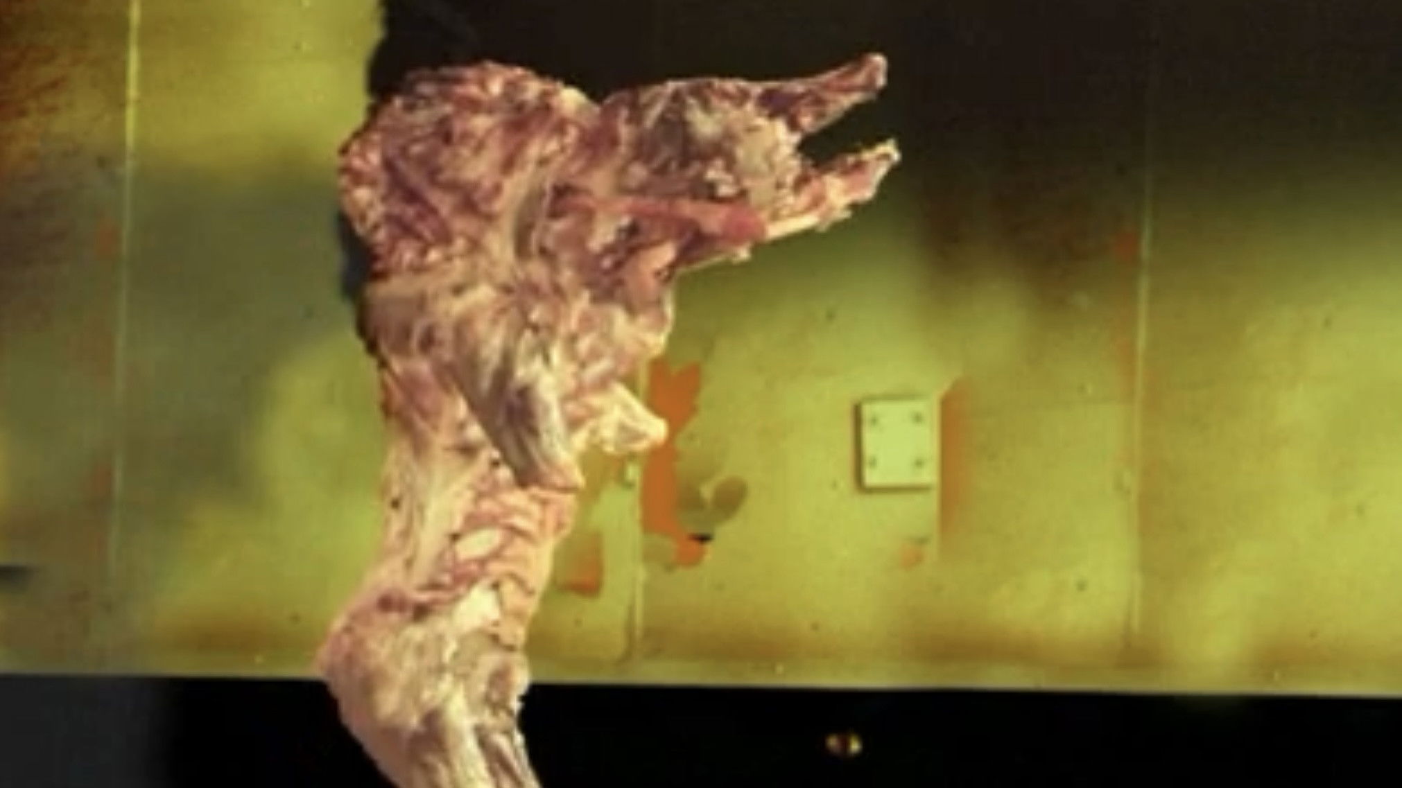 Backdrop for The Pig Walks