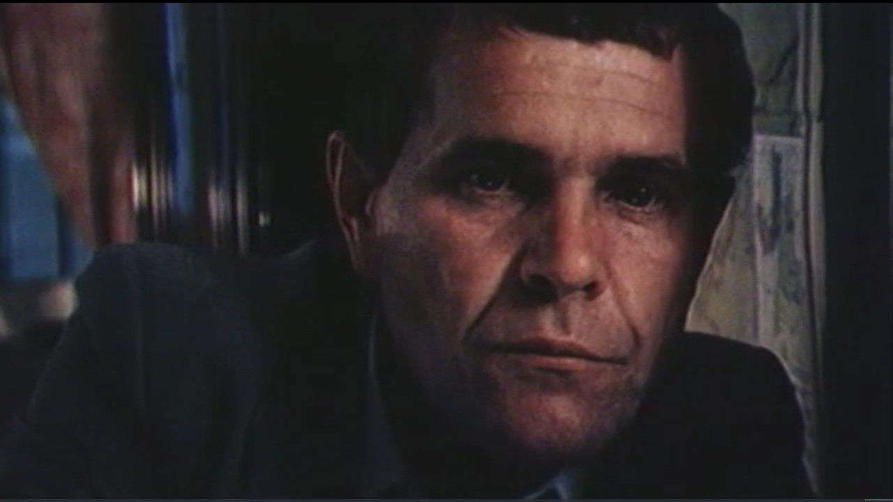 Backdrop for Quiet Investigation