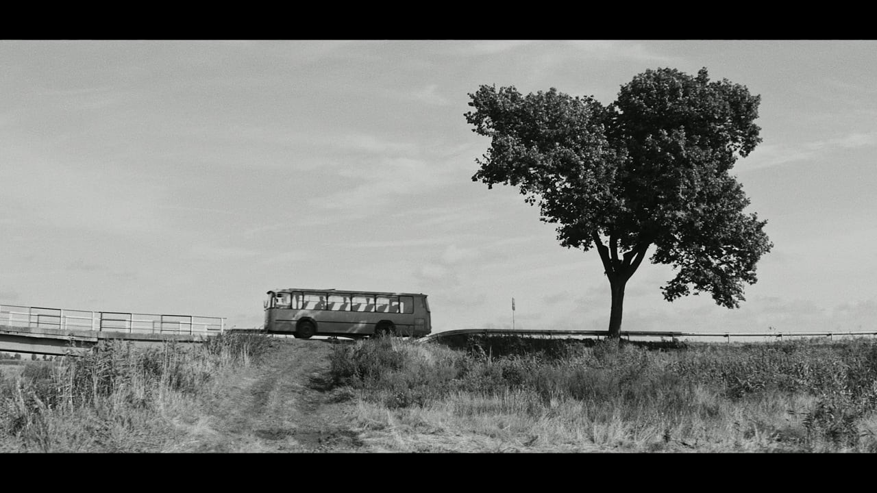 Backdrop for The Stop