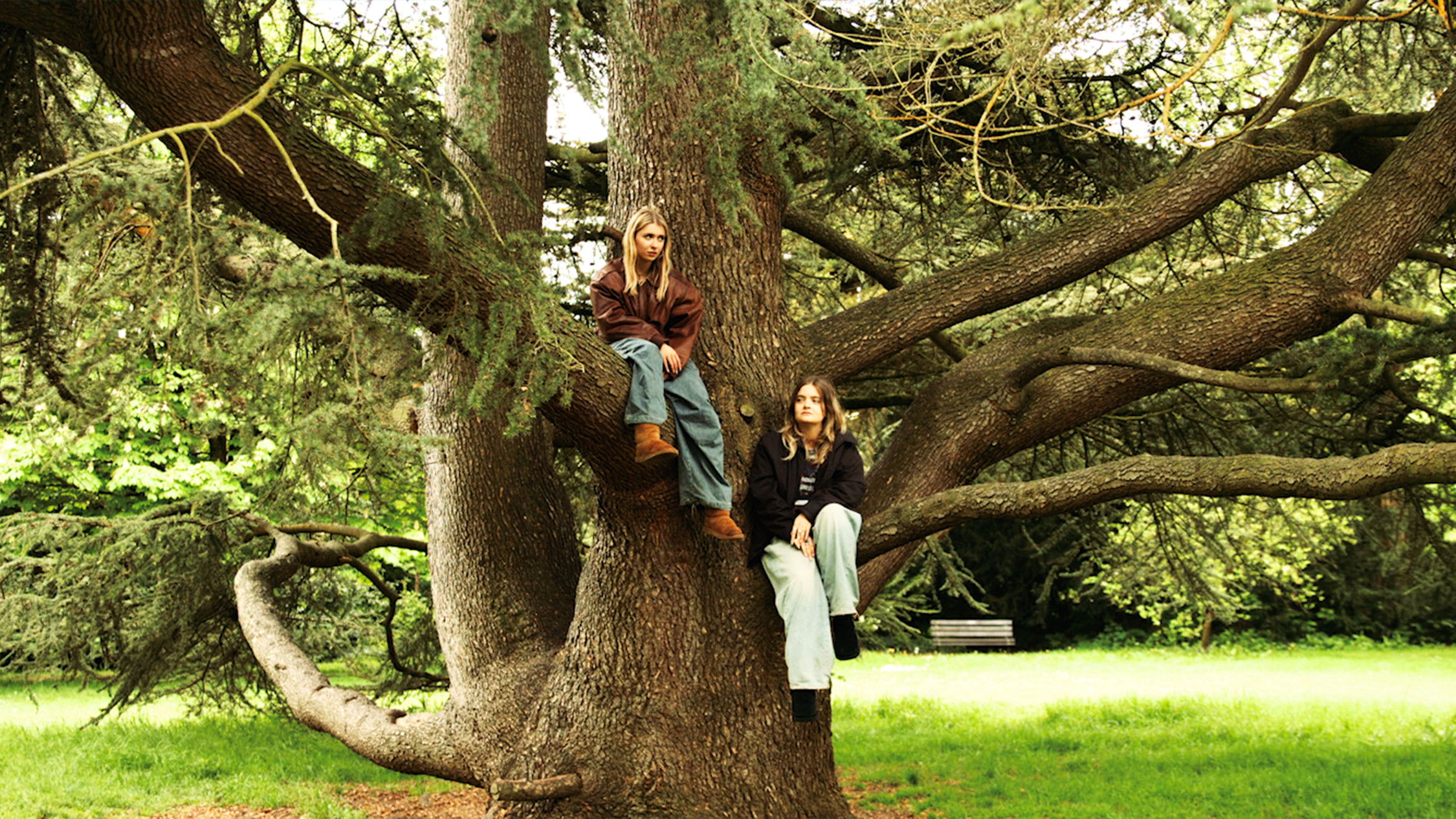 Backdrop for Red Autumn