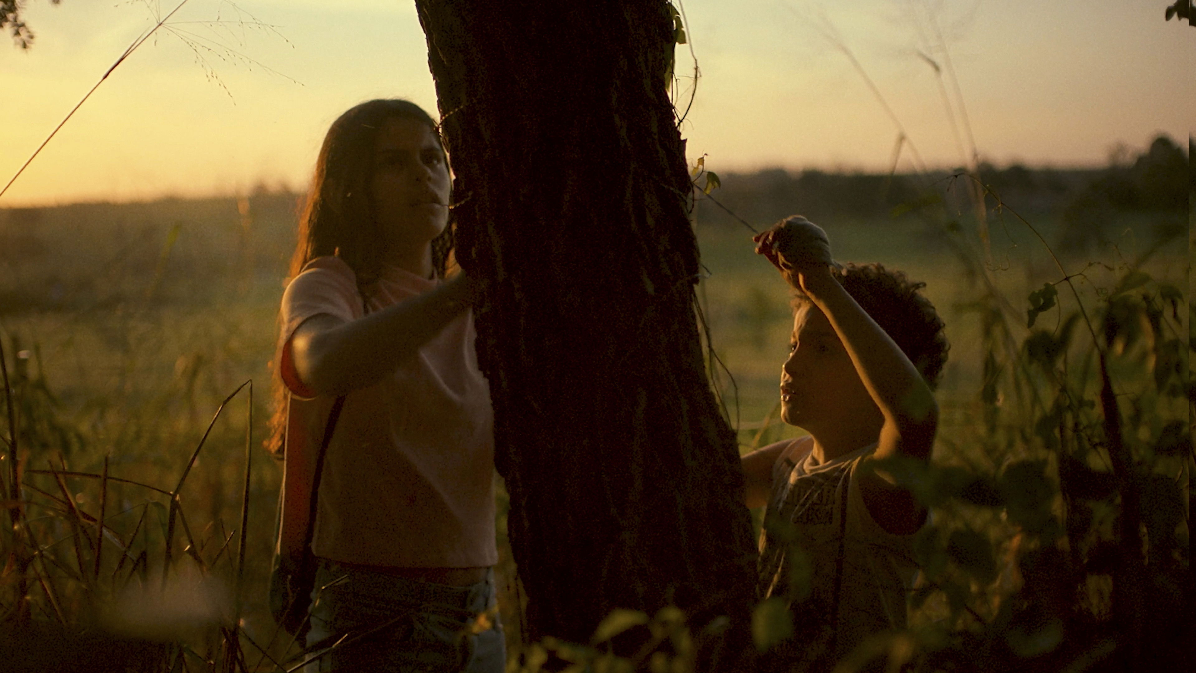 Backdrop for Barbed Wire