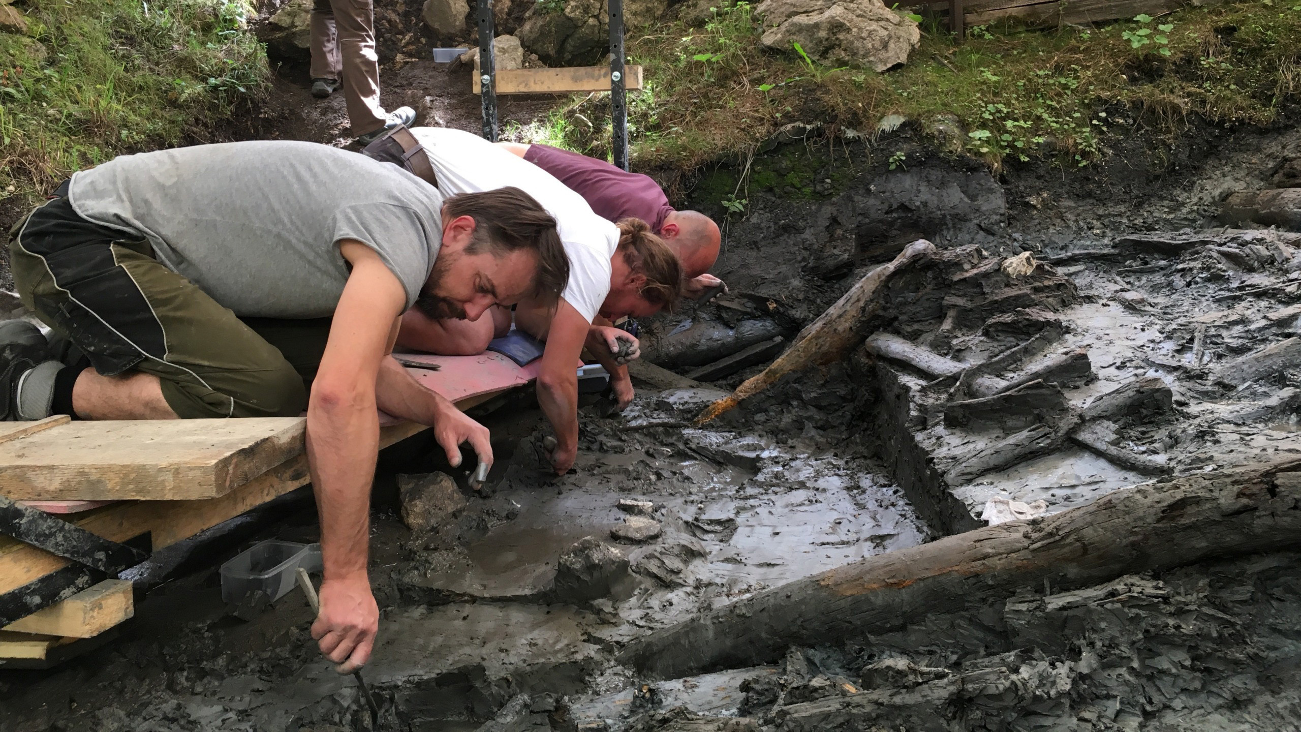 Backdrop for Mystery of the Celtic Tomb