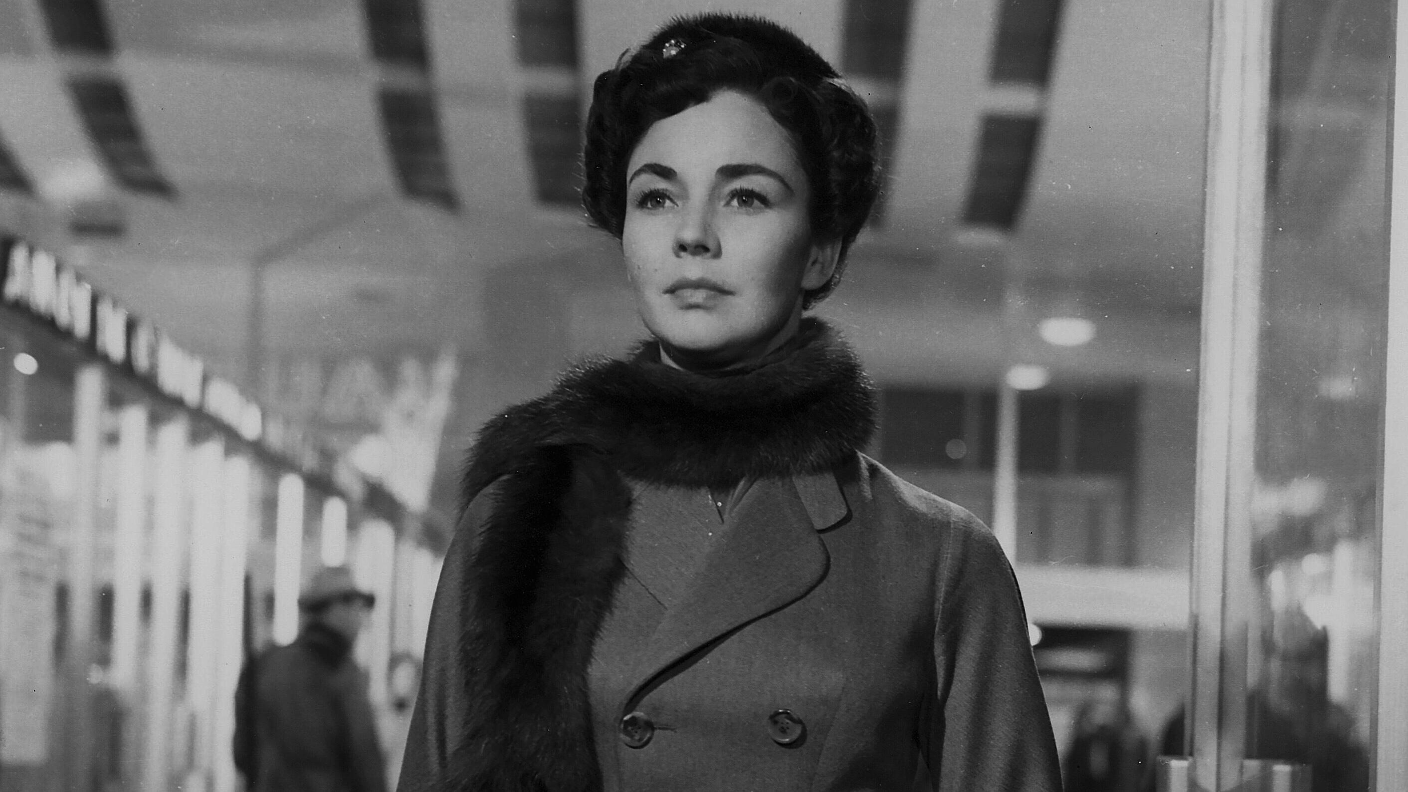 Backdrop for Indiscretion of an American Wife