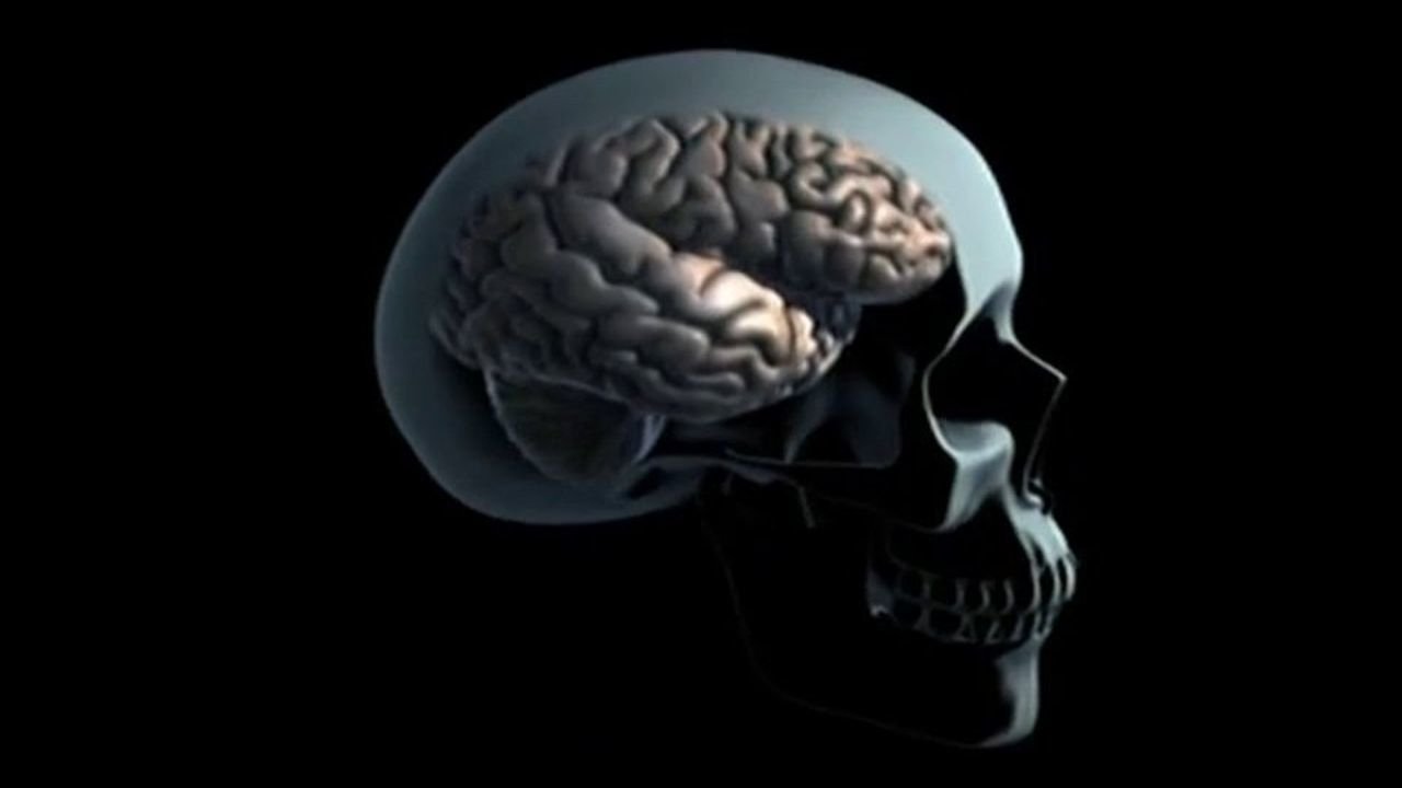 Backdrop for Drugs and Brain