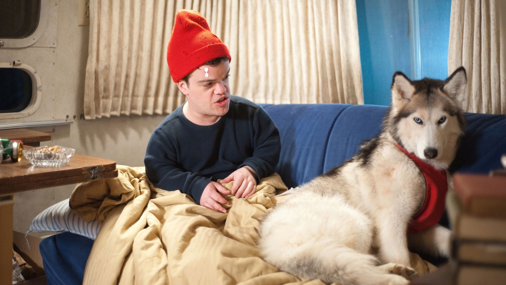 Backdrop for An Insignificant Harvey