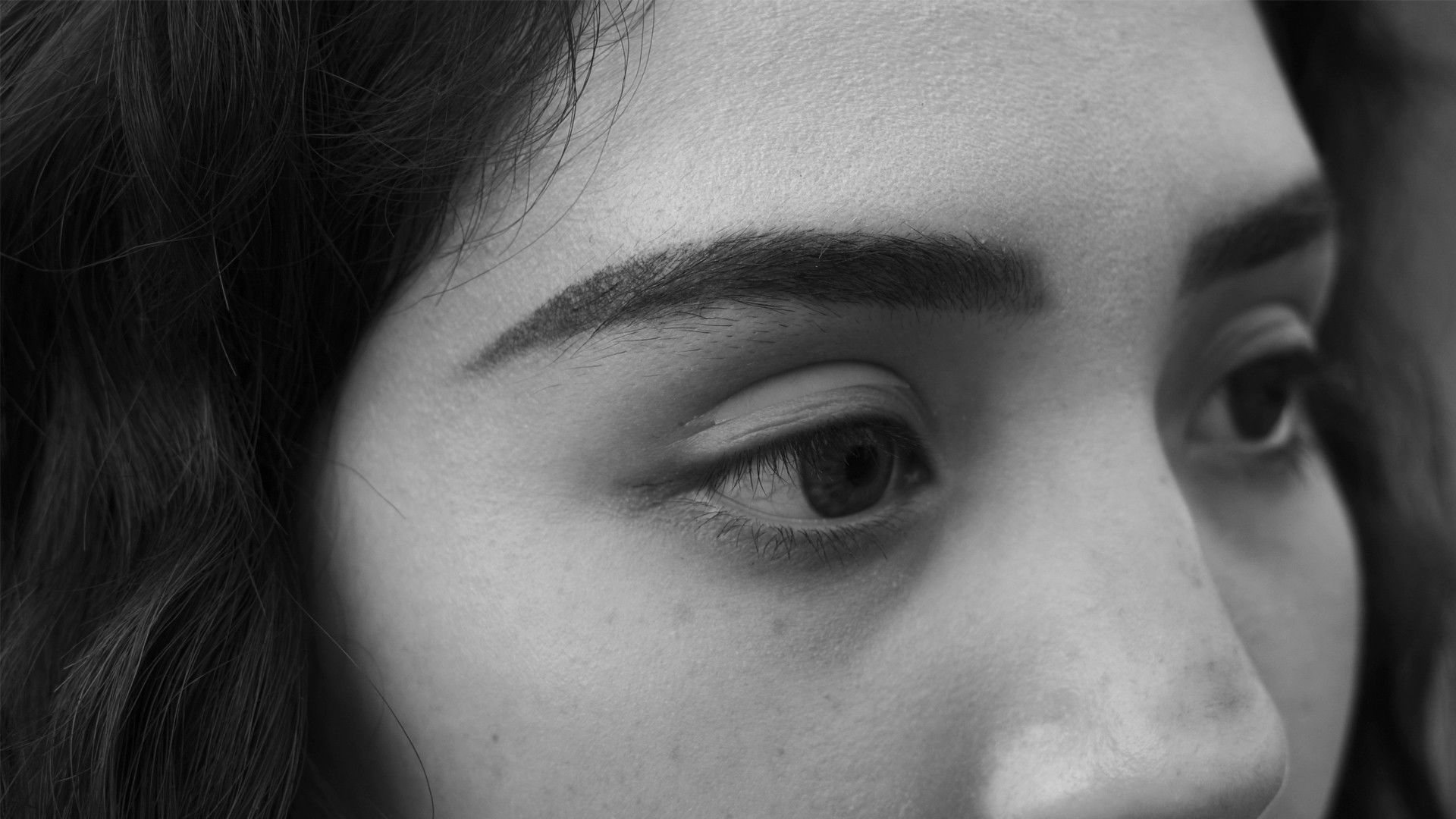 Backdrop for Holy North!