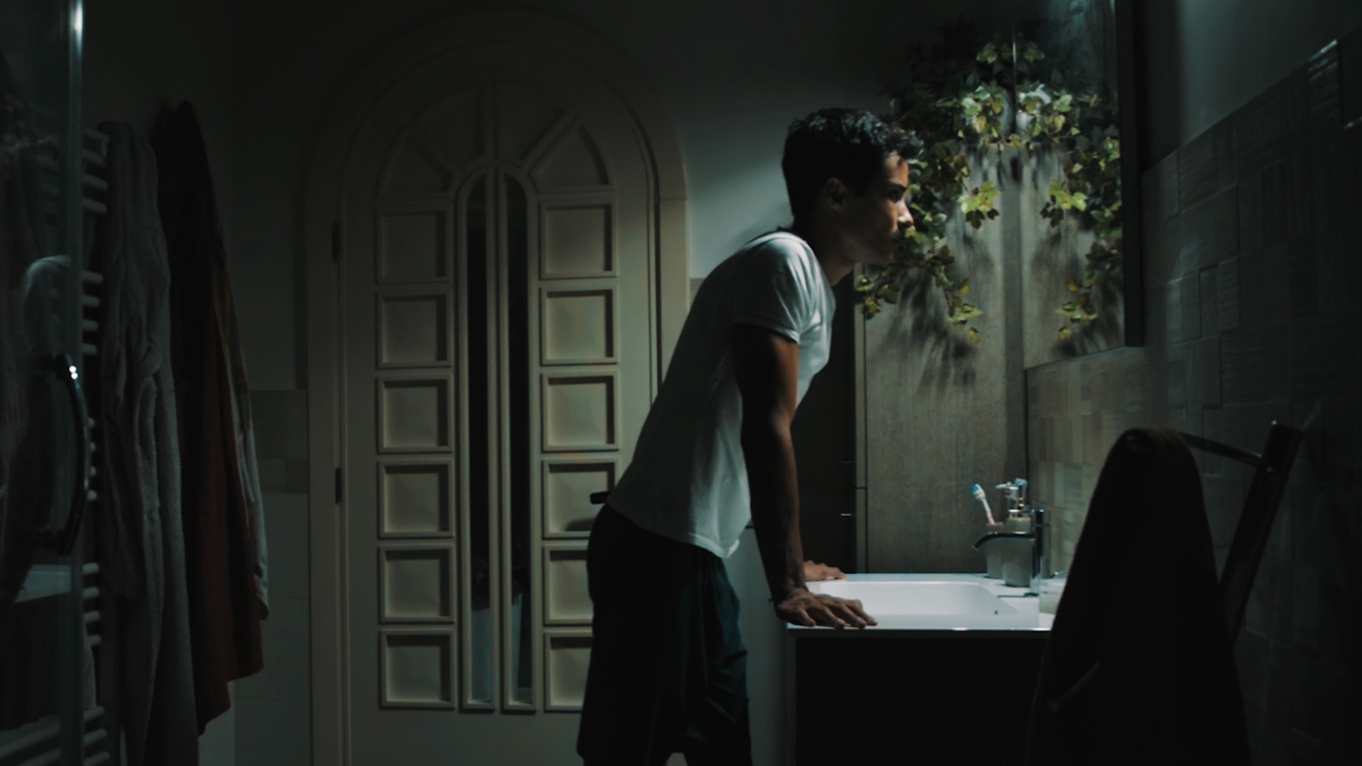 Backdrop for The Adolf Factor