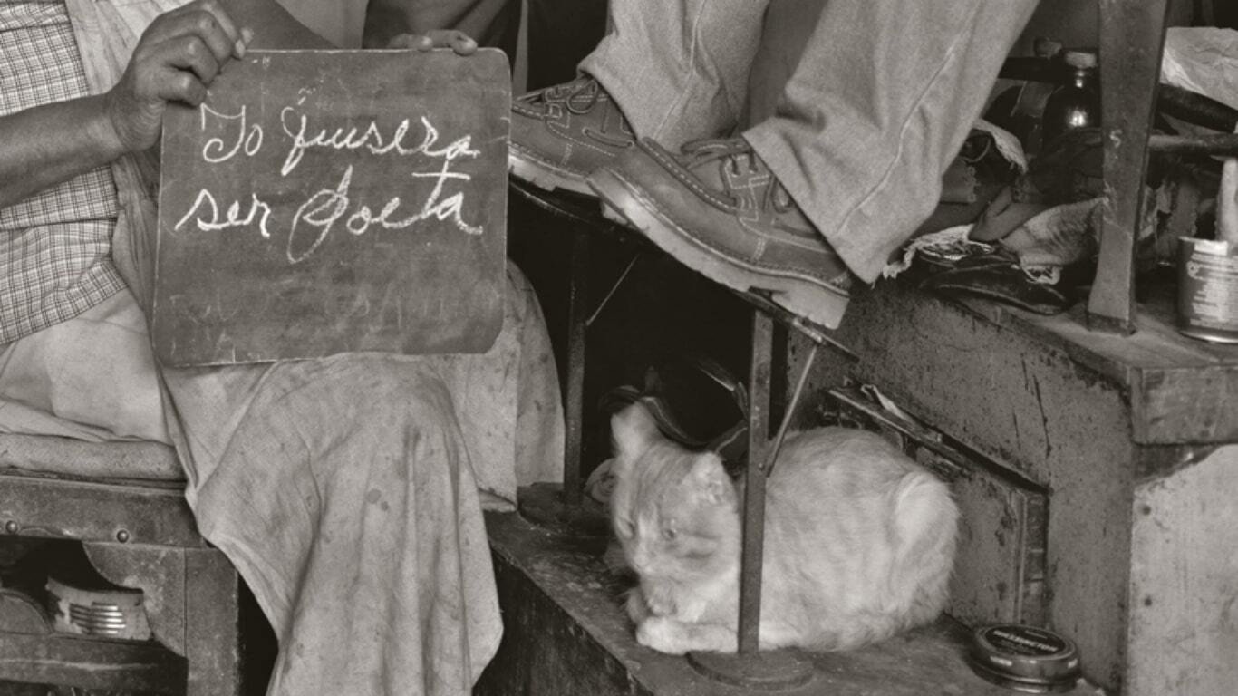 Backdrop for Map of Latin American Dreams