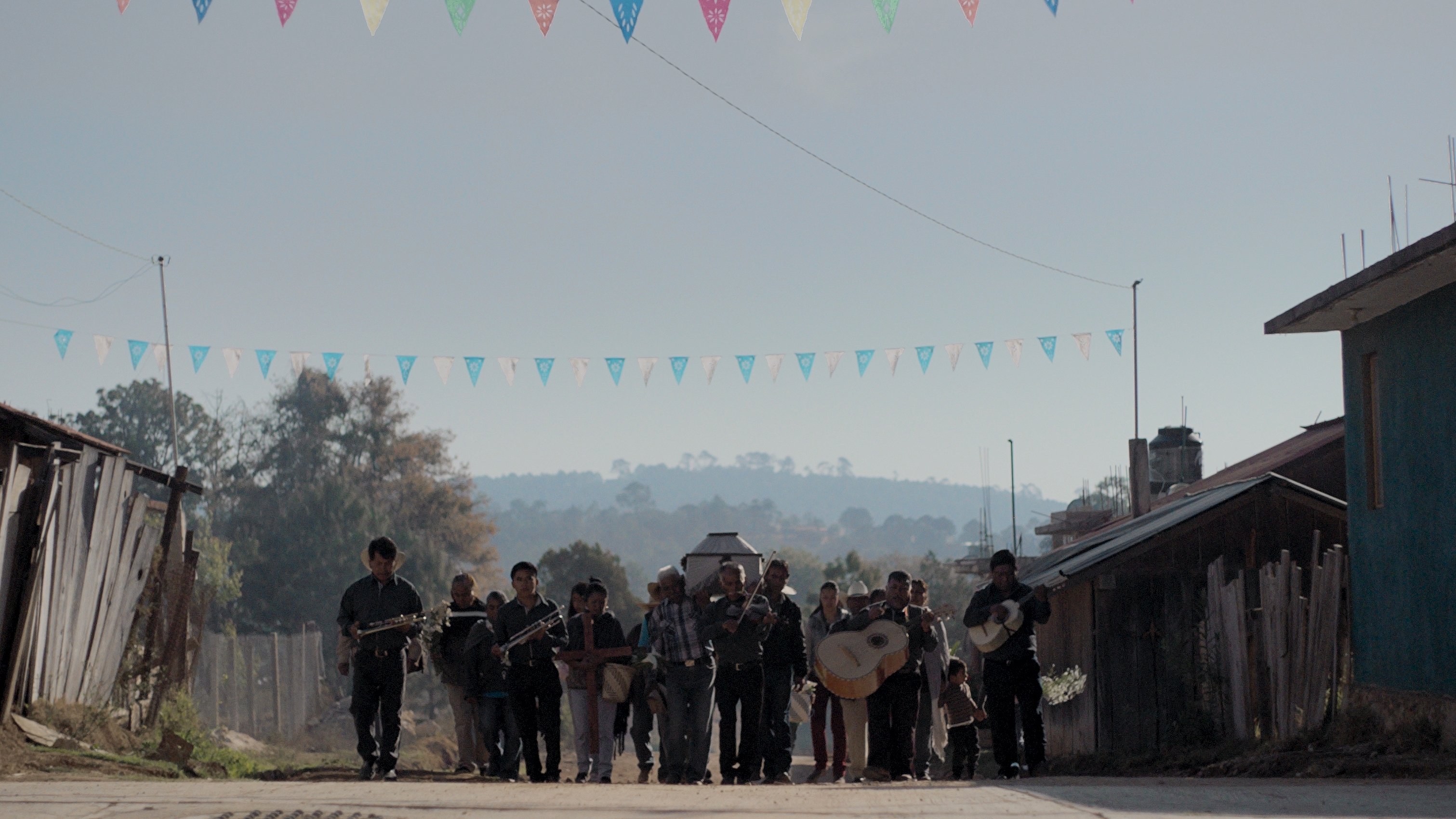 Backdrop for Nudo Mixteco