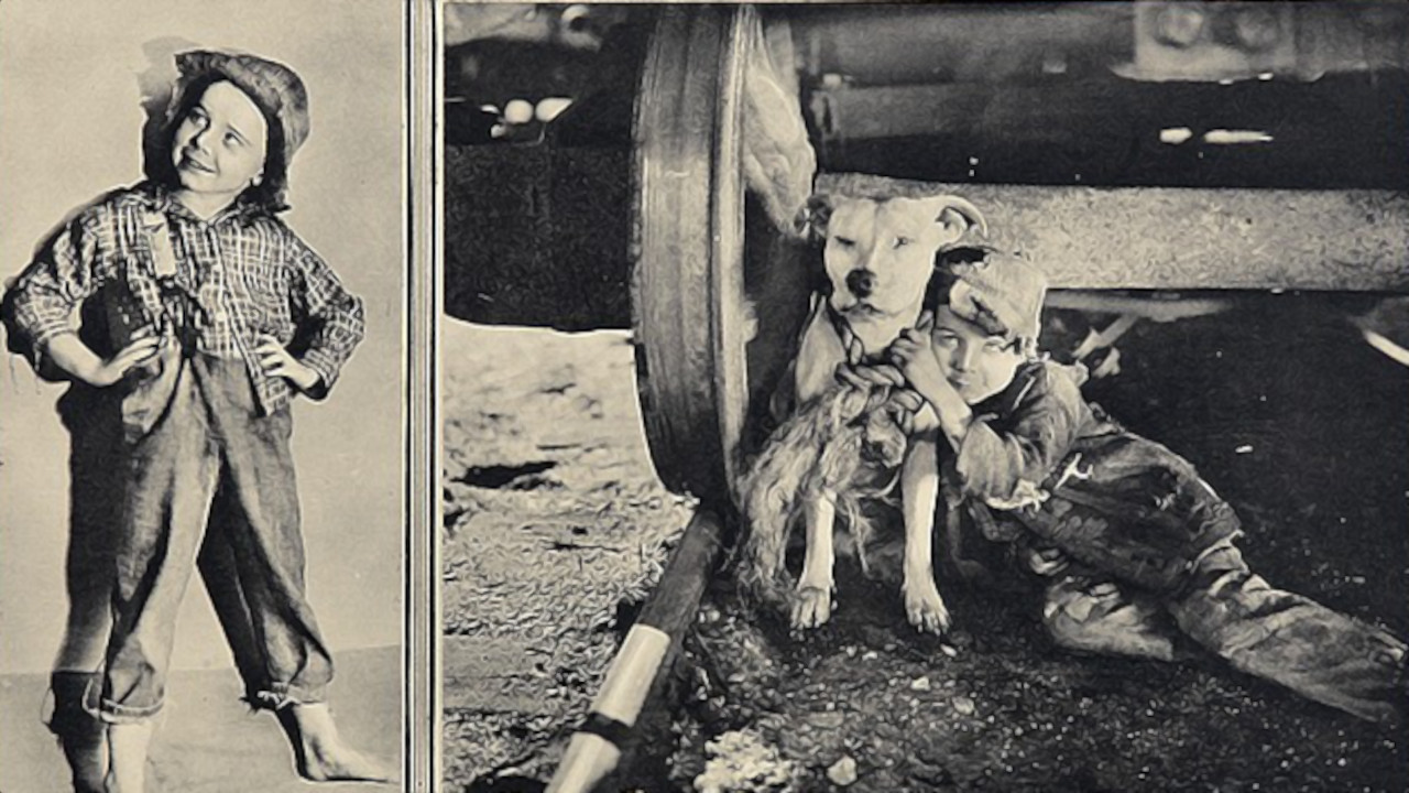 Backdrop for The Big Adventure