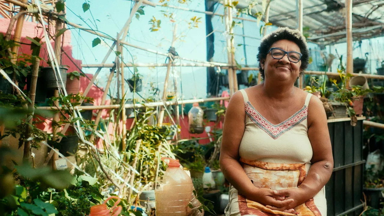 Backdrop for Dona Jacira - O Legado