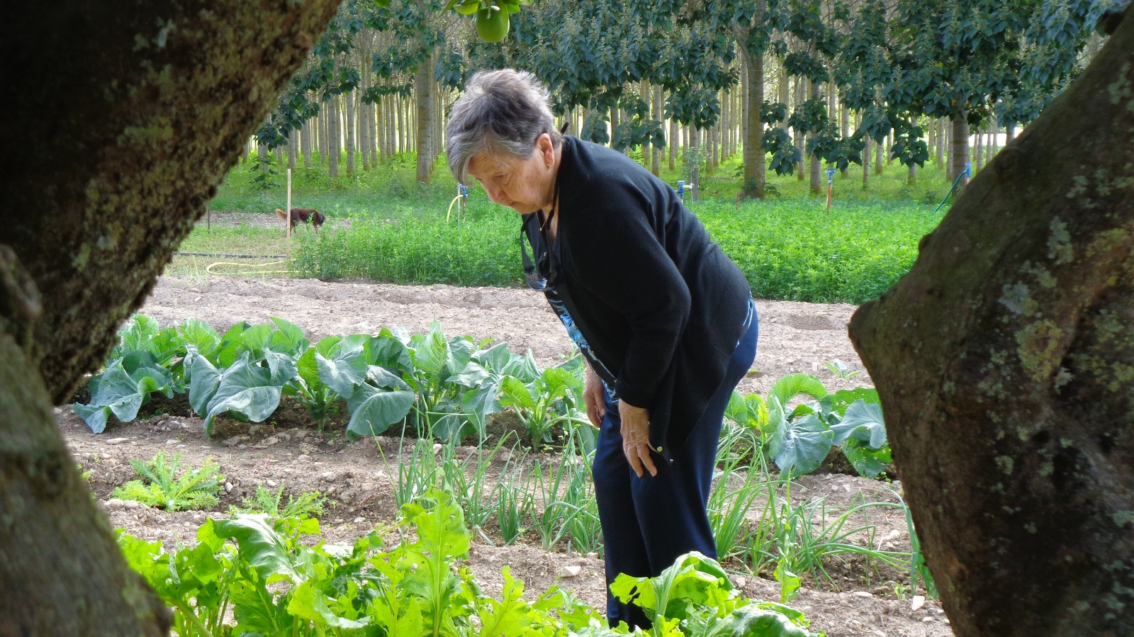 Backdrop for De tros en tros