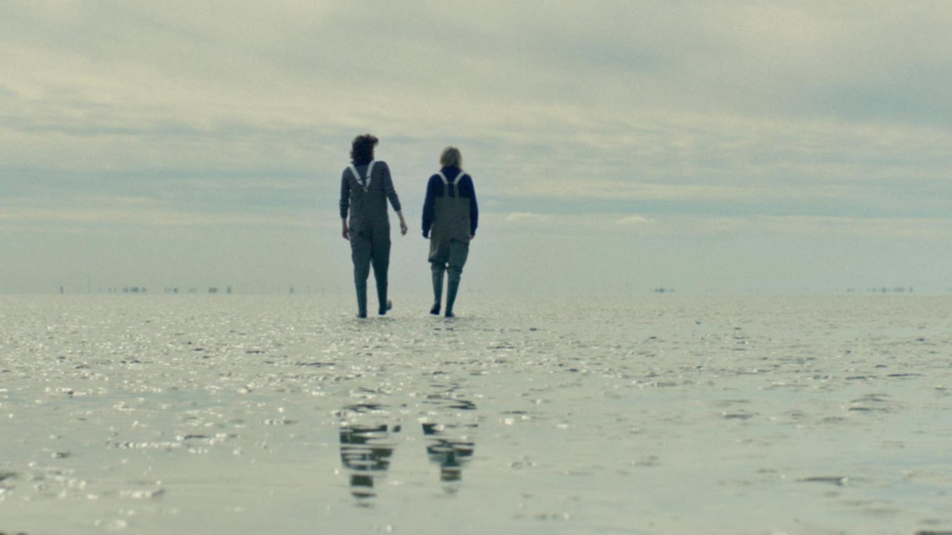 Backdrop for Wildflowers